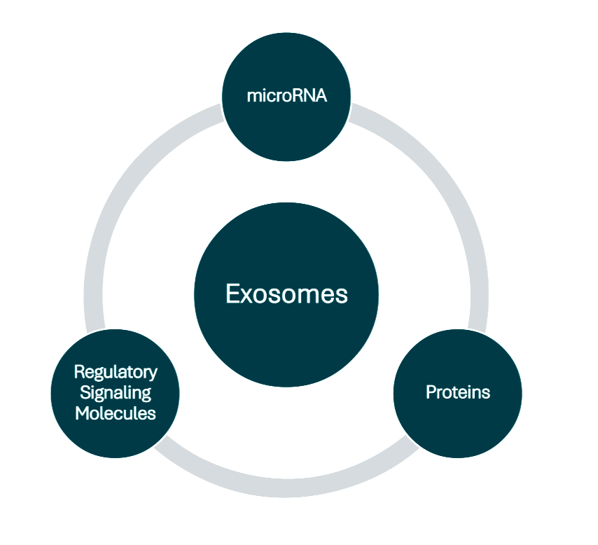 Diagram showing components of exosomes, including microRNA, proteins, regulatory signaling molecules, and the central exosomes label.