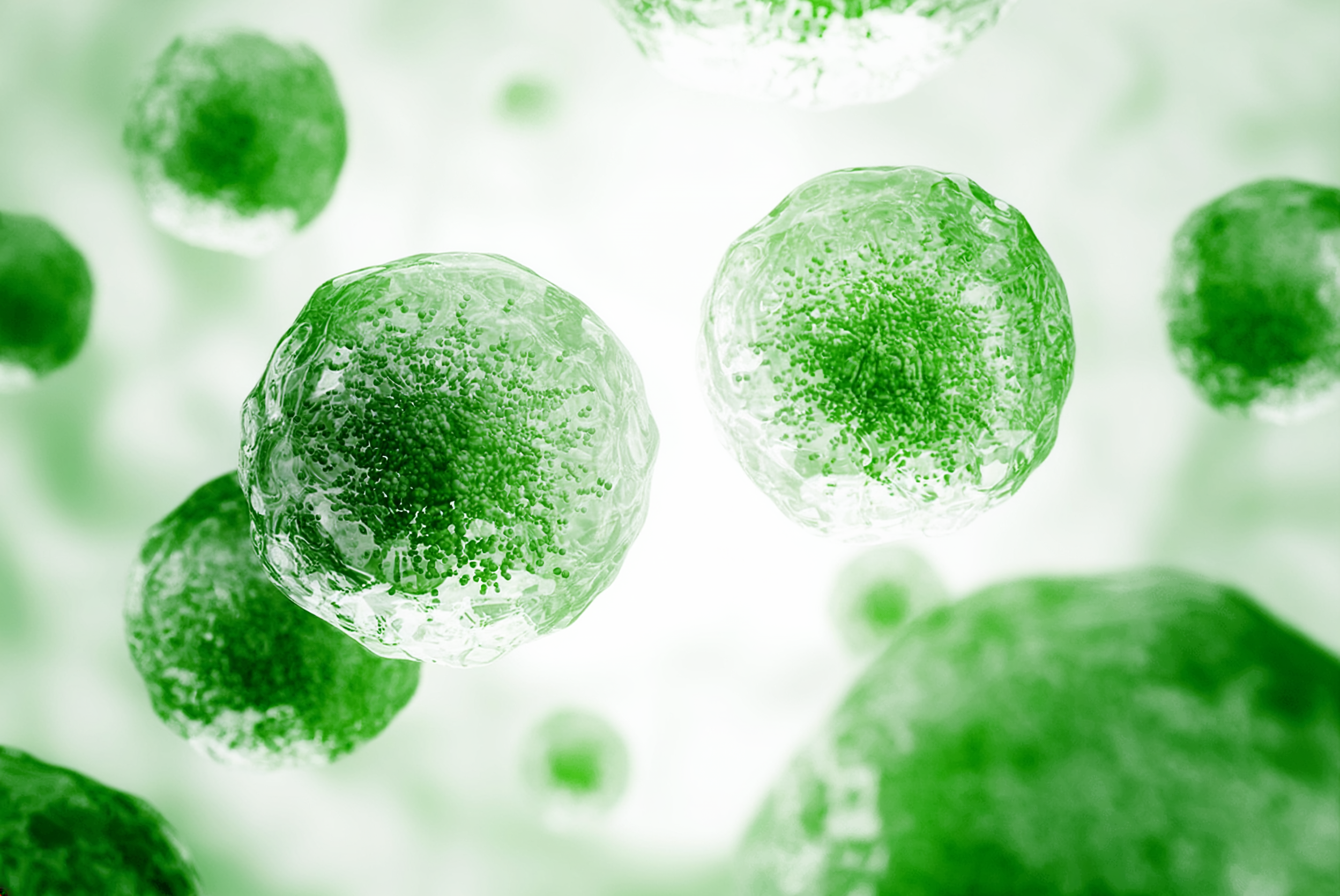 Green cells or particles floating in a translucent medium, possibly illustrating biological or microscopic activity, with a predominantly green hue and a blurred background.
