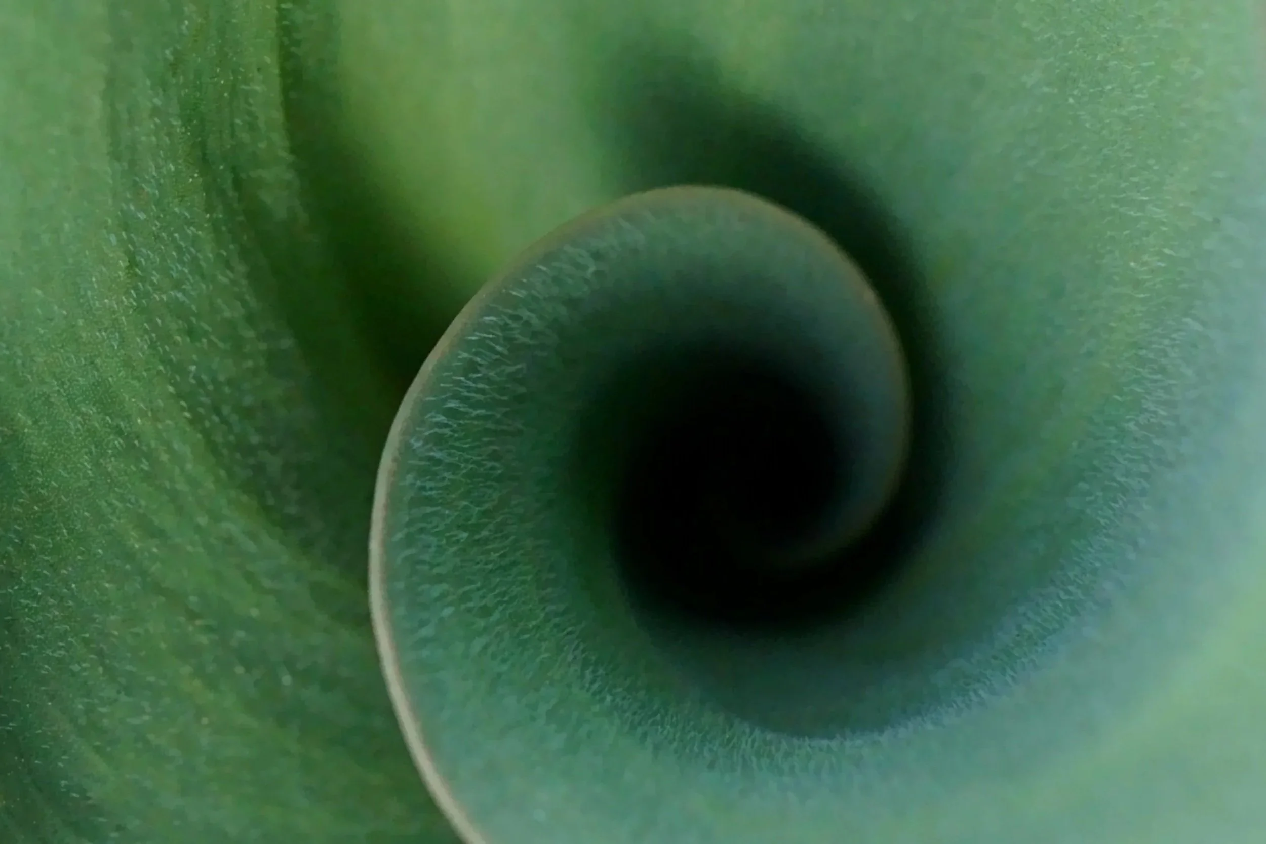 Close-up view of the interior of a green cactus, showing multiple tubes and textured surfaces.