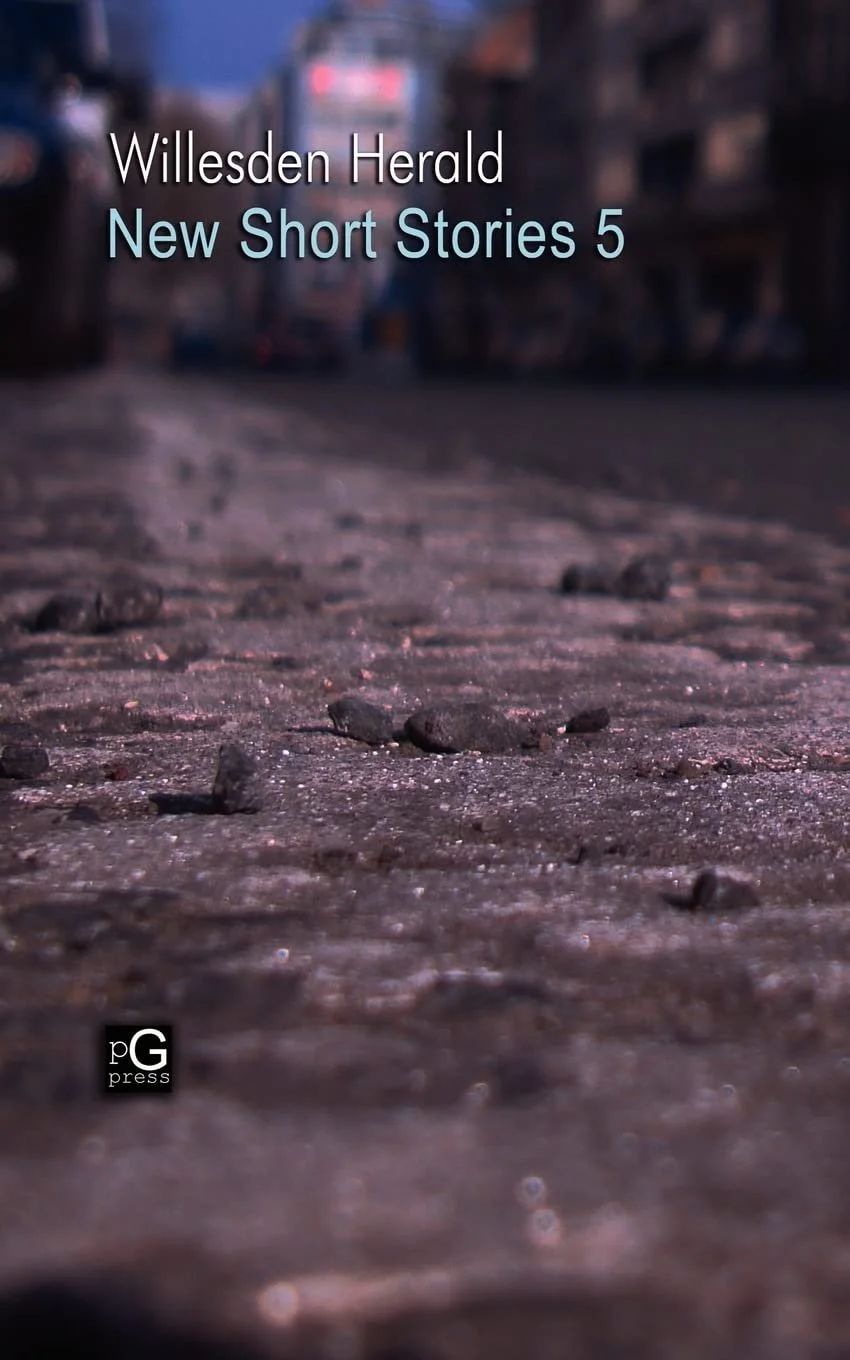 THE PLACE (in 'New Short Stories 5' published by Pretend Genius)