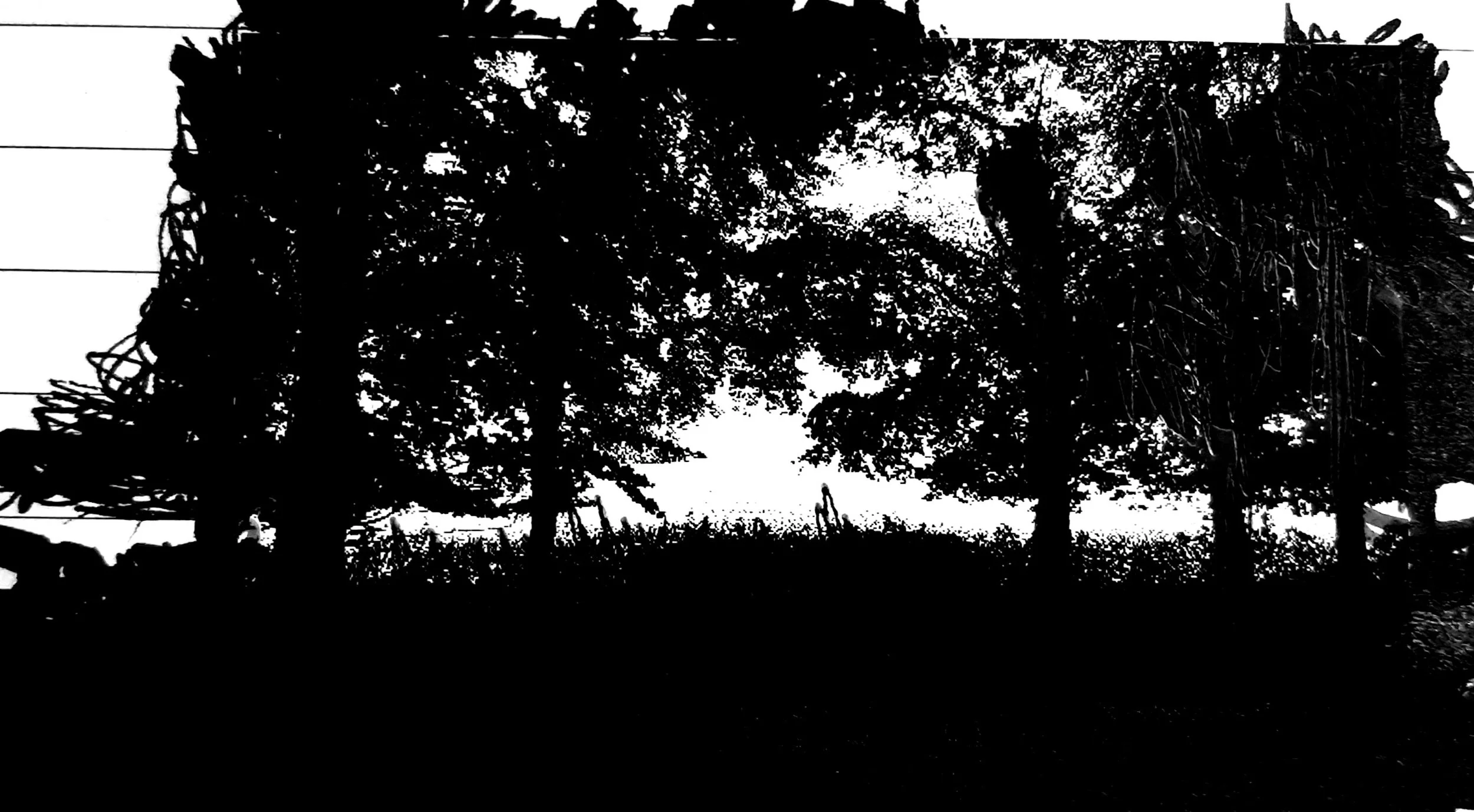 Black and white drawing of trees with a bright sky in the background.
