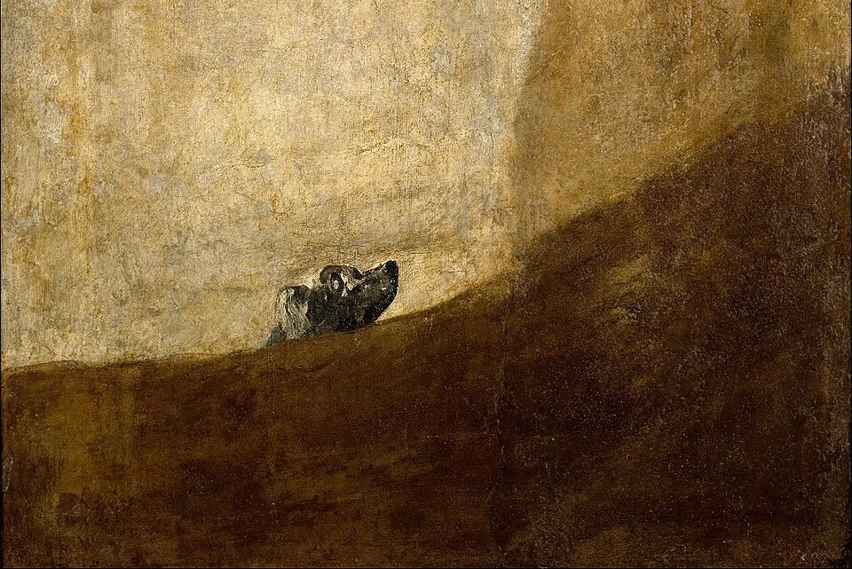 THE DOG (Litro)