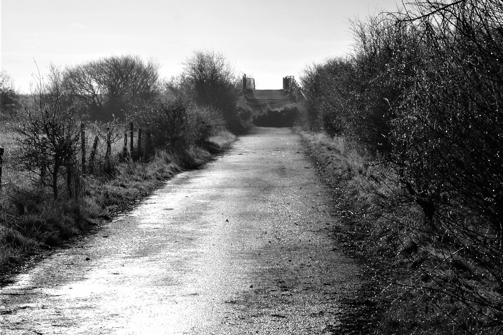 THE ROAD ON THE MOSS (Panorama: The Journal of Travel, Place & Nature)