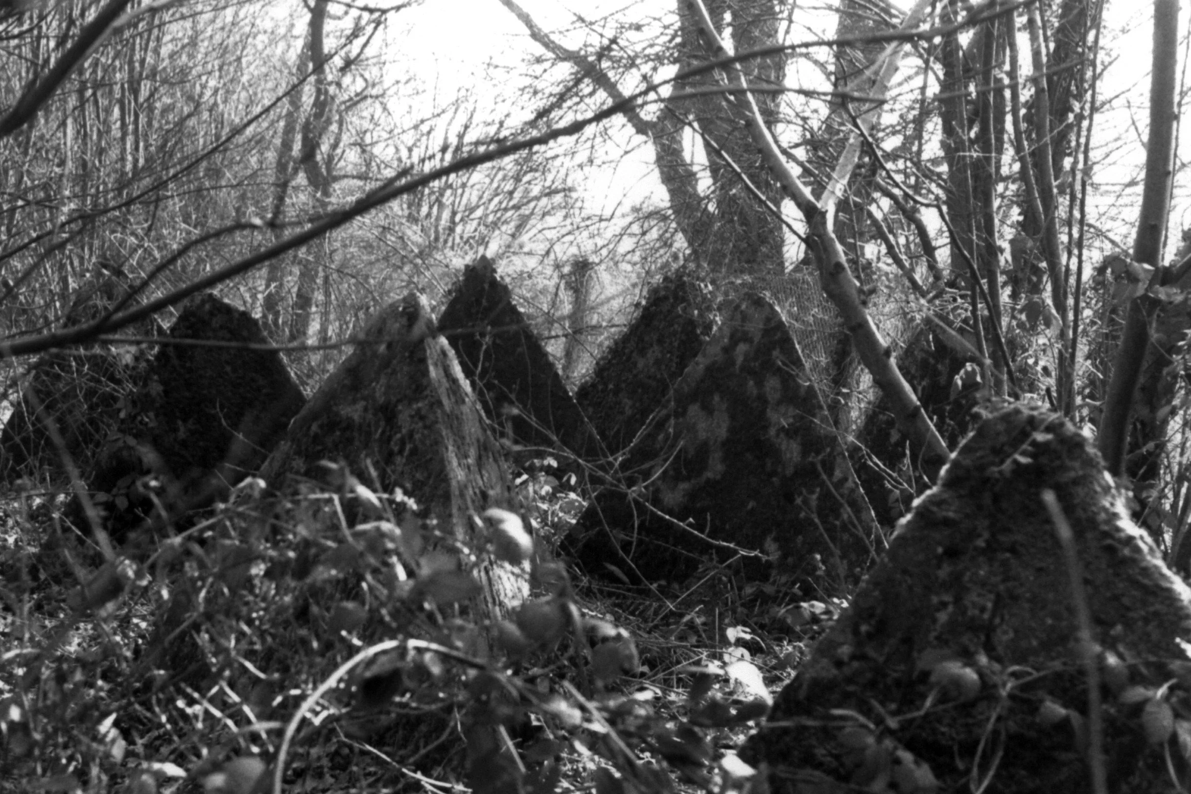 STOP LINES (Panorama: The Journal of Travel, Place & Nature)