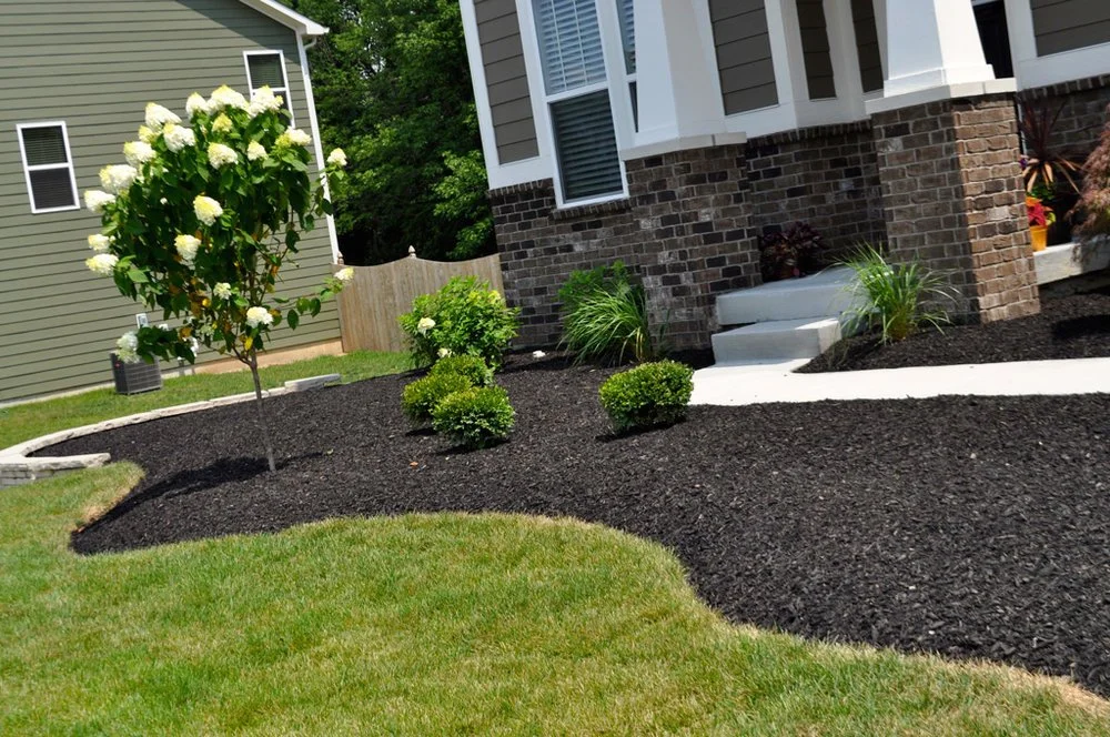 Front yard with a small tree with white flowers, shrubs, and a mulched garden bed in front of a house with brick and siding, concrete steps leading to the porch, and a green lawn.