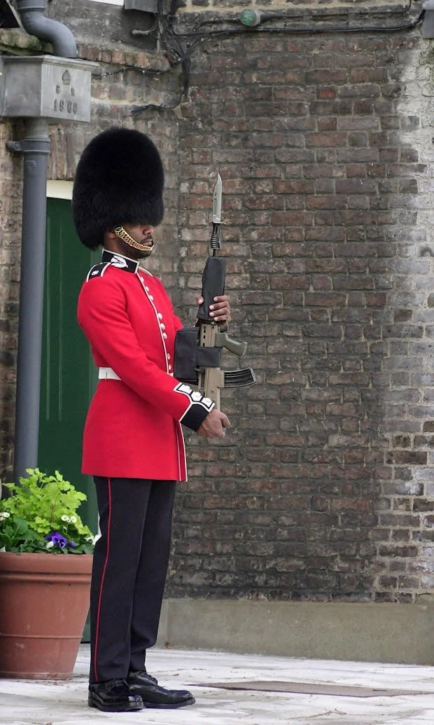 A British royal guard in a red uniform with black trousers and black shoes, wearing a tall black furry hat, holding a rifle with a bayonet attached, standing beside a brick wall and a parking meter, in front of a green door and a flowerpot with purpl