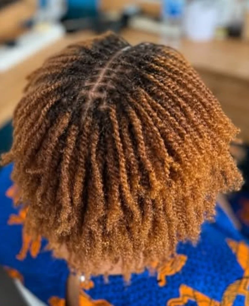 Top view of a person's head with blonde, tightly twisted natural hair styled into small twists.