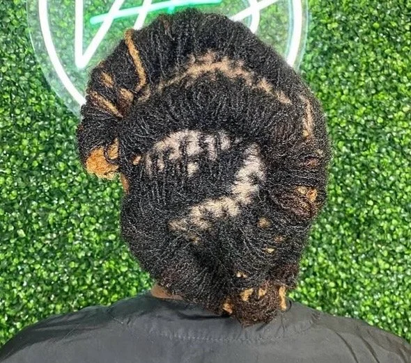 Back of a person's head showcasing intricate, styled dreadlocks in a bun against a green leafy background.