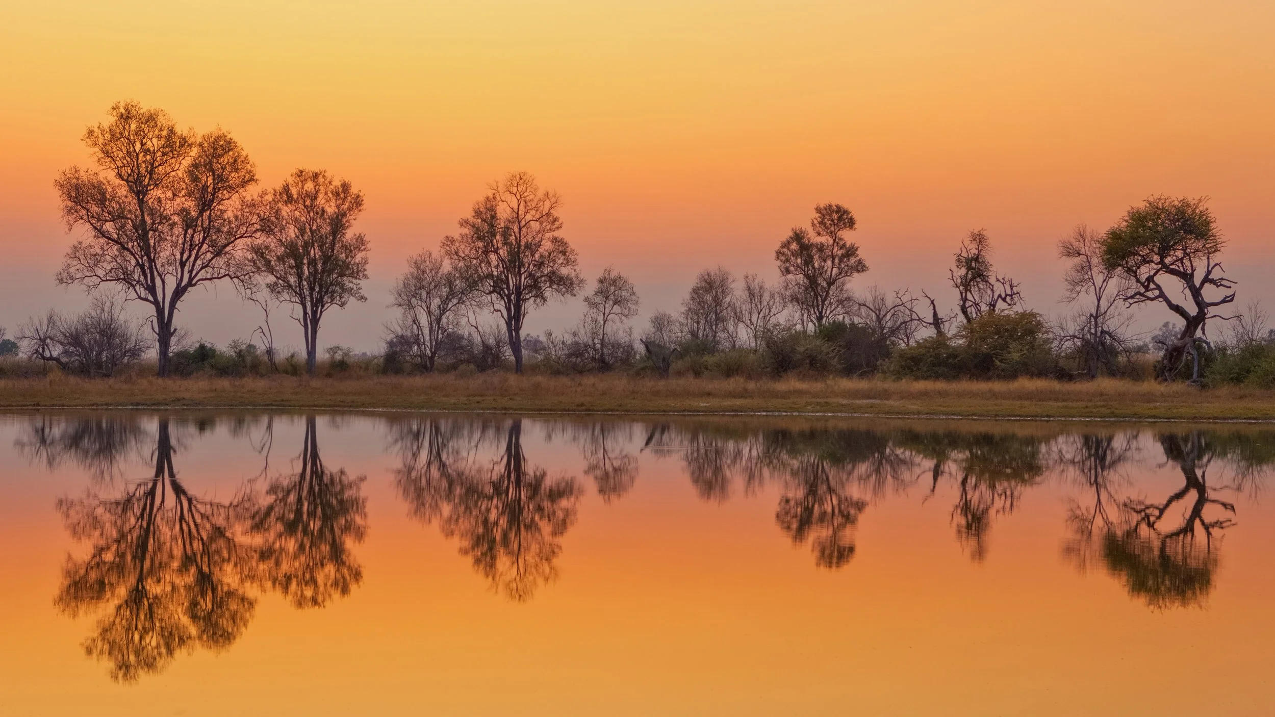 A peaceful lakeside scene at sunset with silhouettes of trees reflected in the calm water.