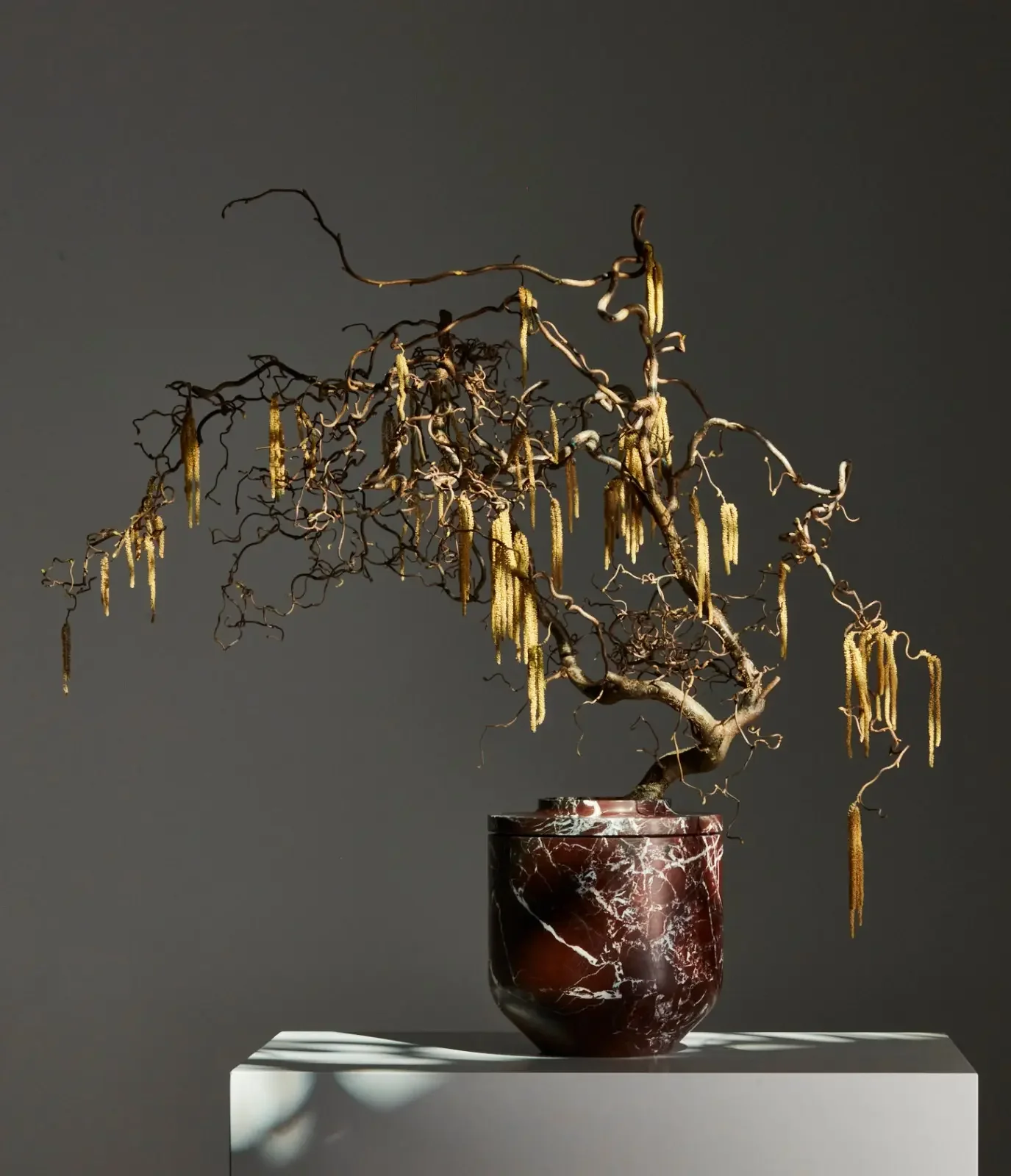 The Royal vase by Kreoo, designed by Christophe Pillet, carved from Rosso Lepanto marble and arranged with branches of Contorted Hazel (Corylus avellana 'Contorta), available through PietraCasa.
