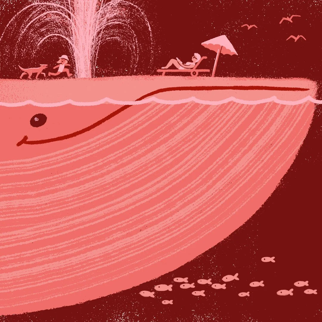 Splashing Whale Waterpark