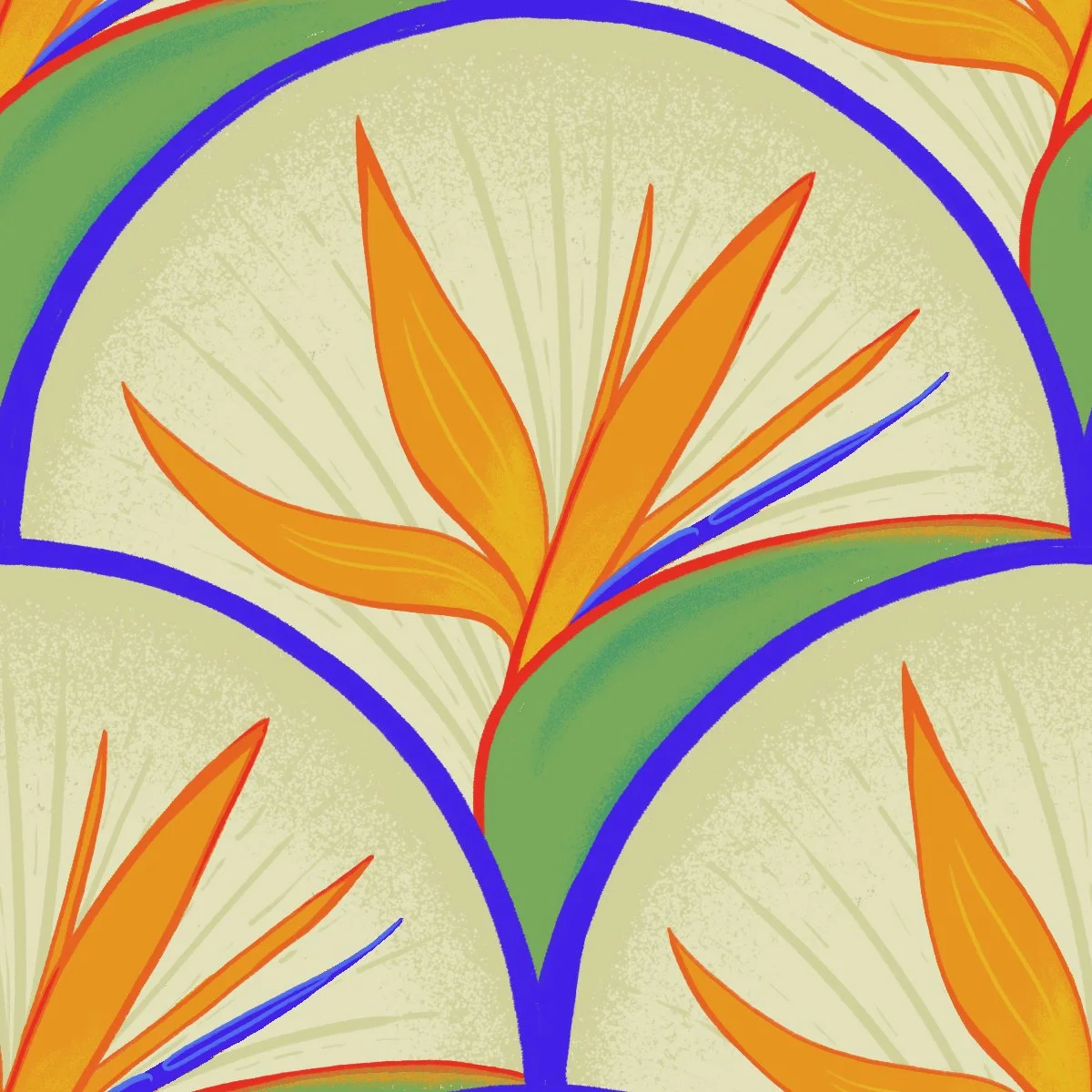 bird of paradise.jpg