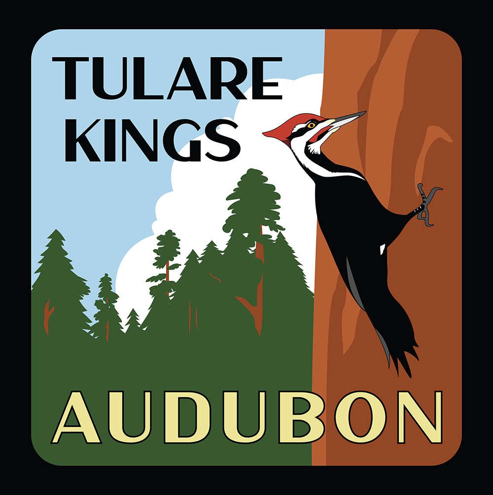 Tulare Kings Audubon Logo final web small.png