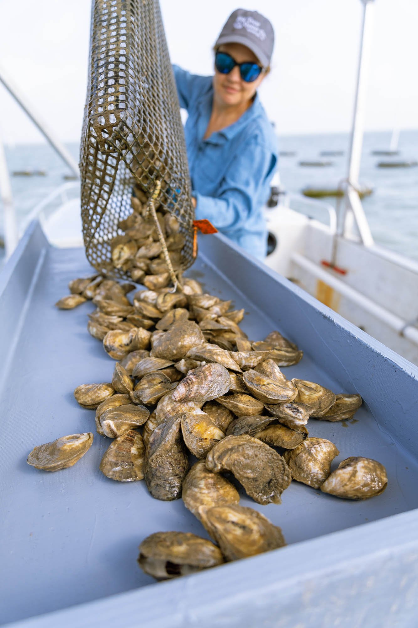 JPAGE-Editorial-BigTreeOysters-0185.jpg