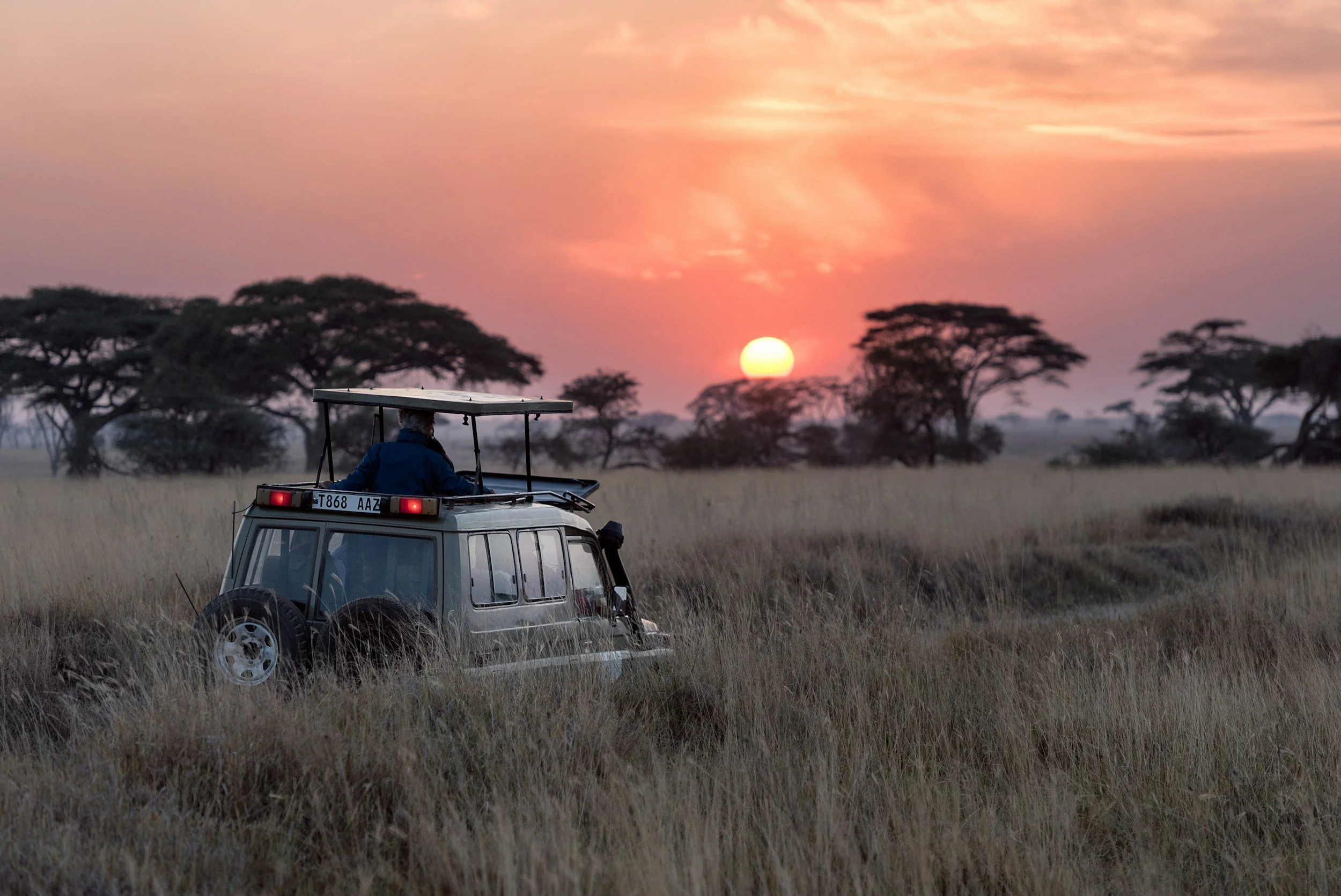 A safari vehicle with a person inside, parked in tall grass at sunset, with scattered trees in the background.