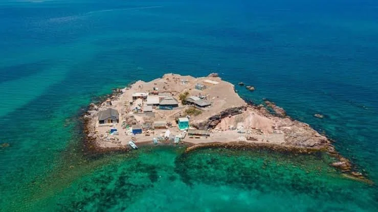 elpardito2.jpg