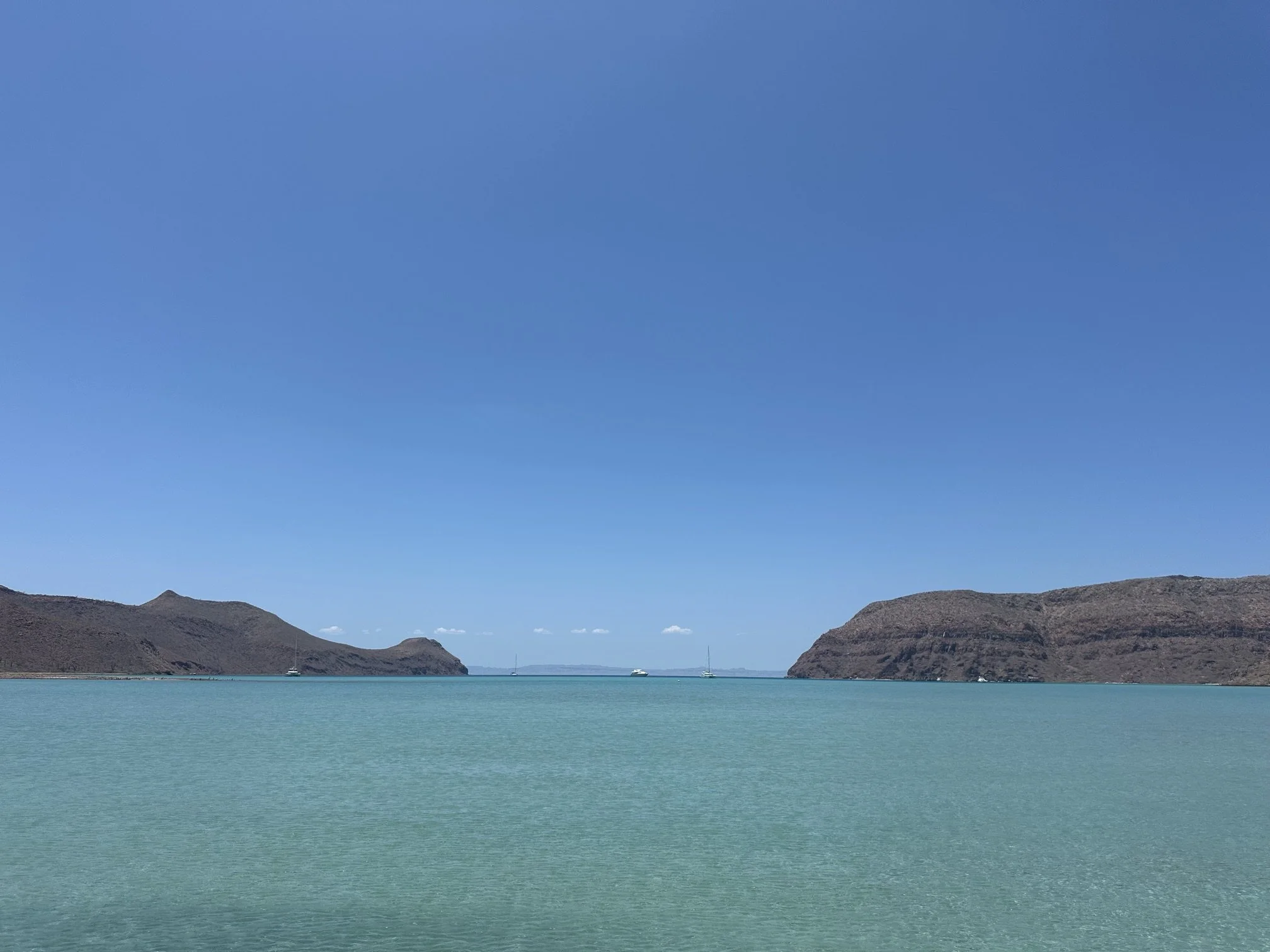 IMG_5686.jpeg