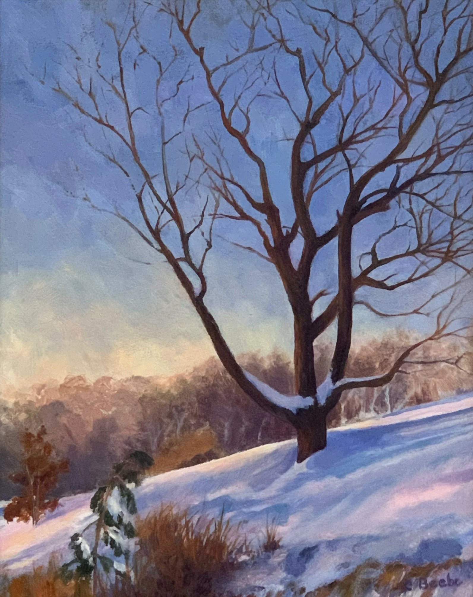 Christine Beebe