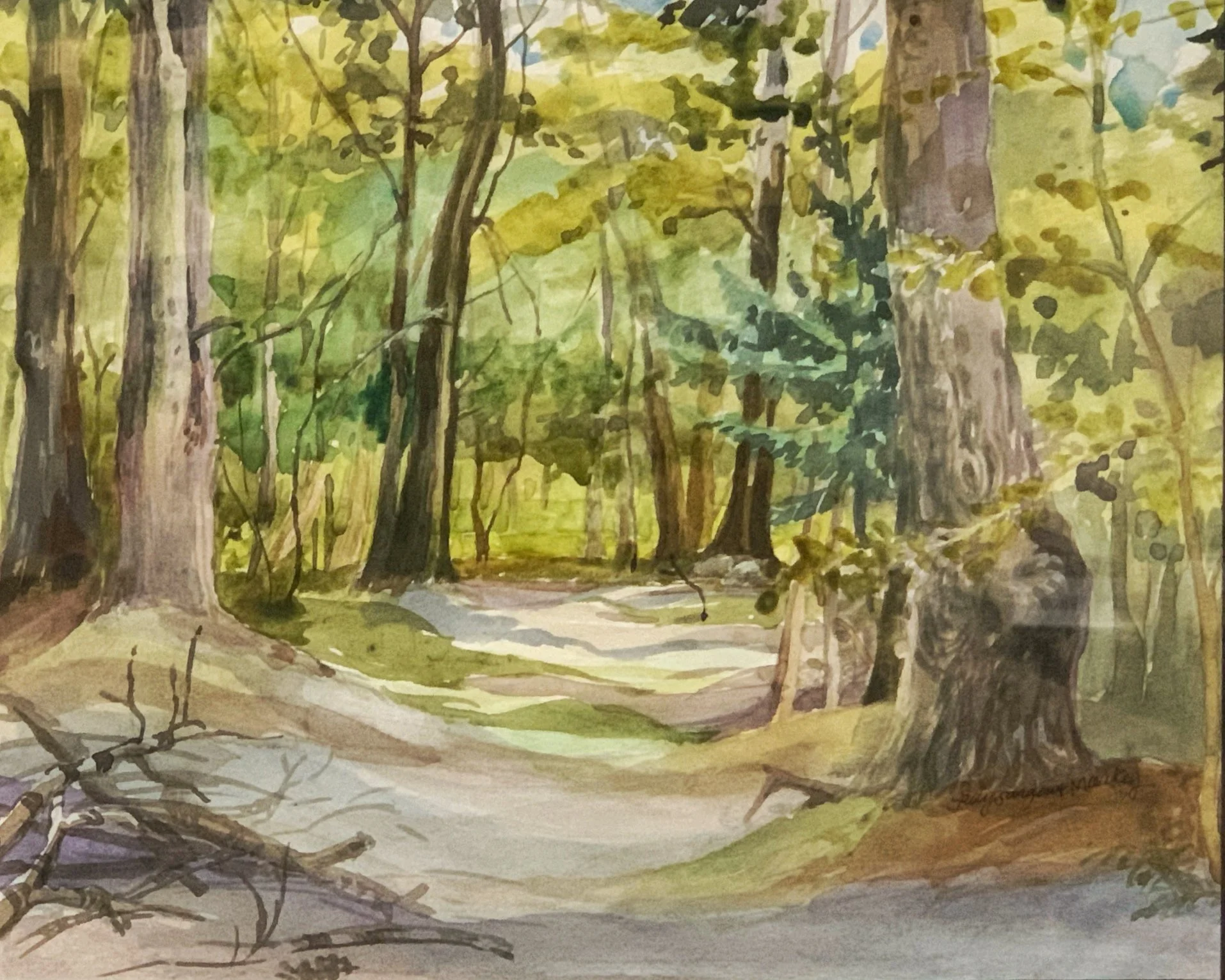 Sally Markey_A Walk in the Woods_IMG_2765.jpg