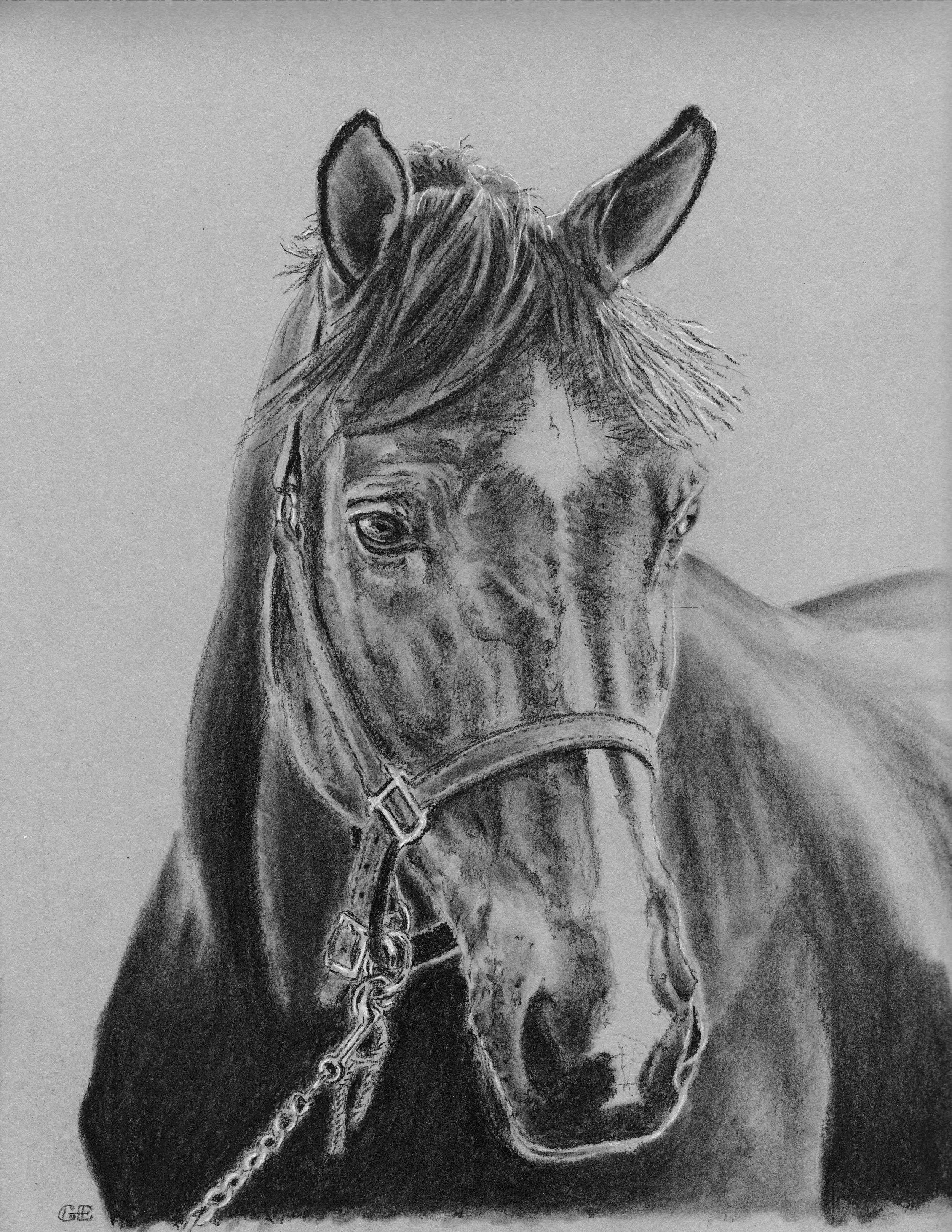Gary Ebersole