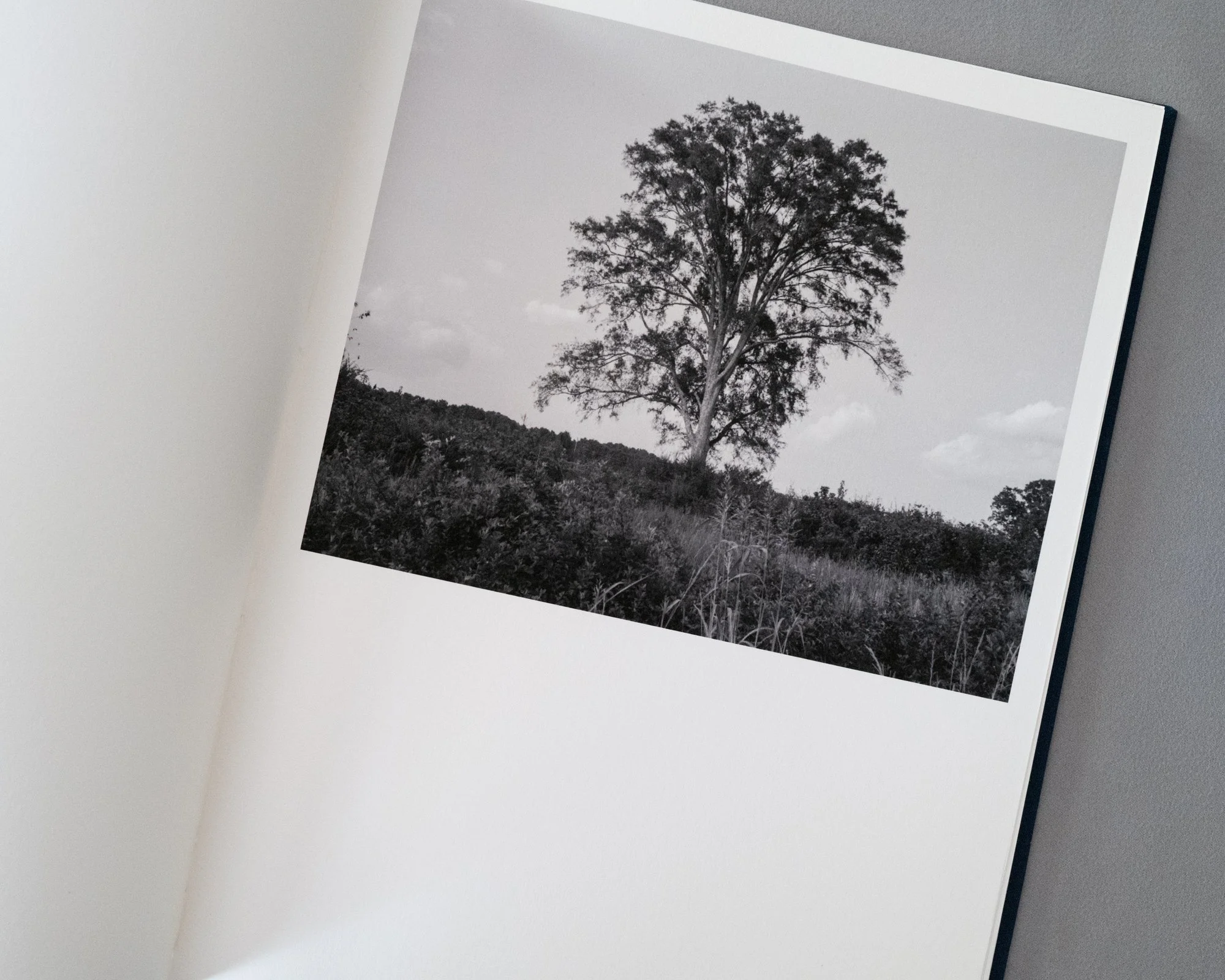 L1009653.jpg