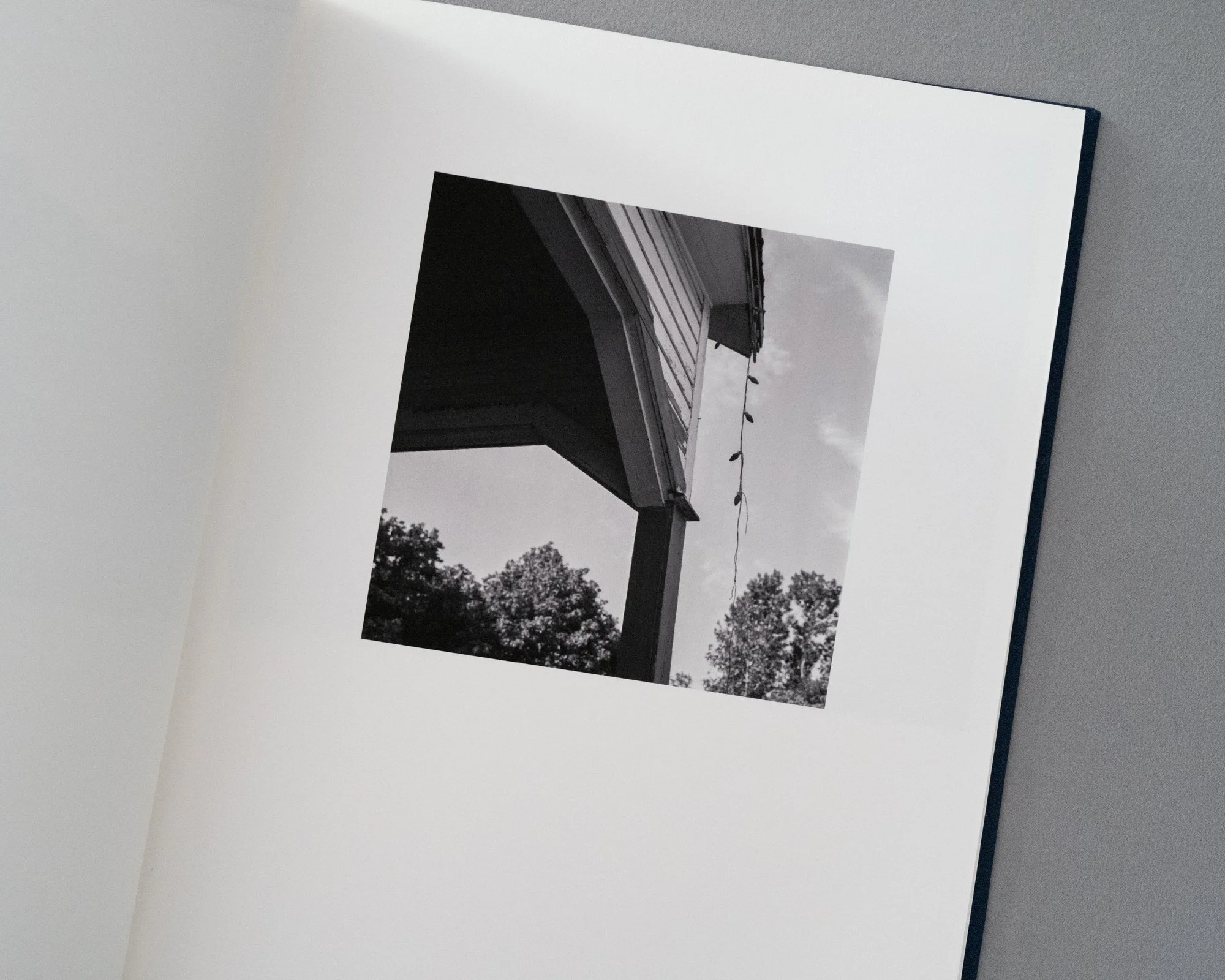 L1009657.jpg