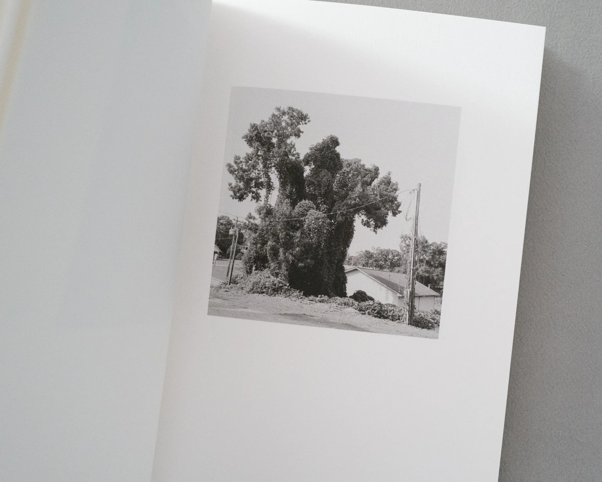 L1009673.jpg
