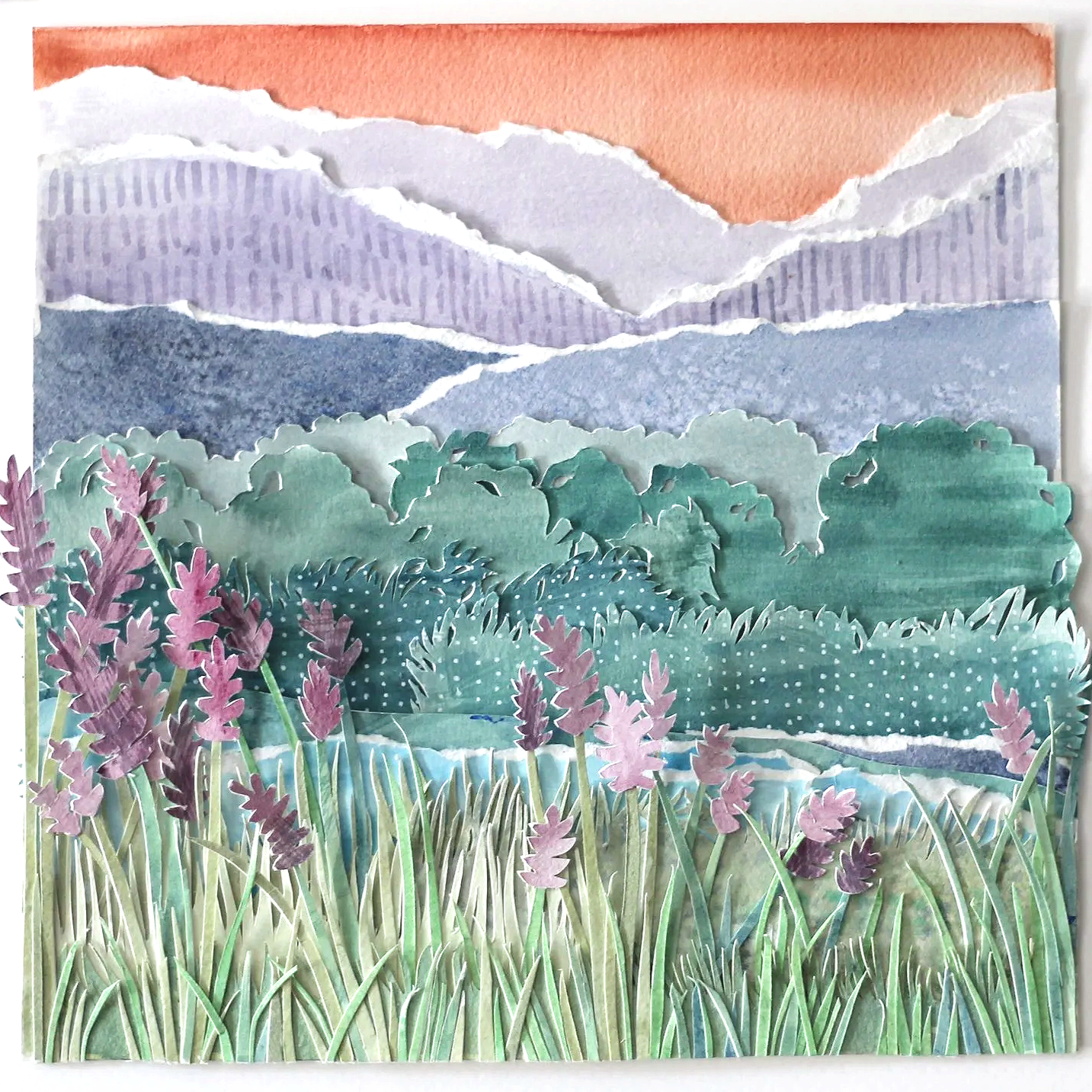 IMG_0340.png