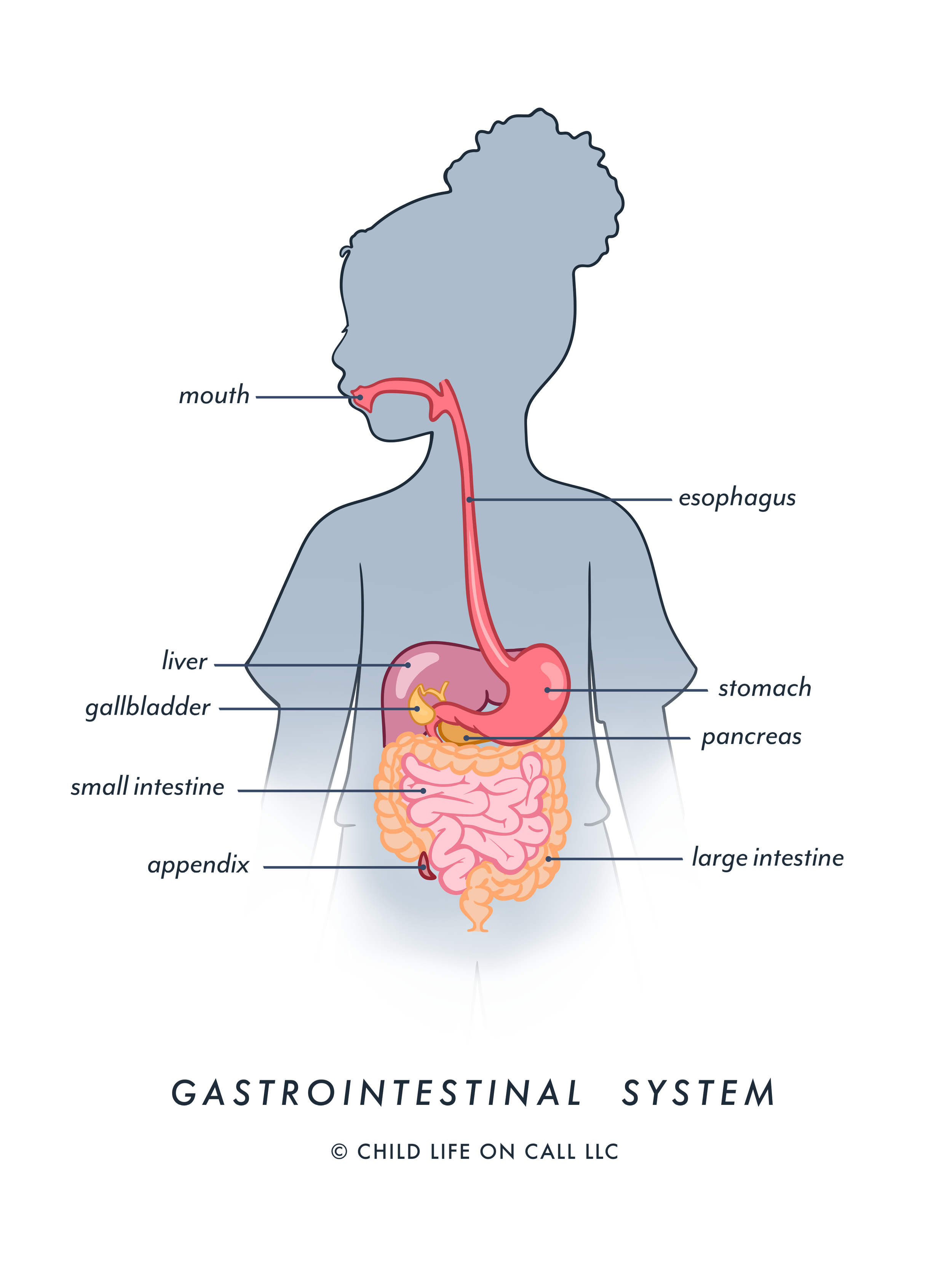 GI_System_CLOC_Copyright copy 2.png