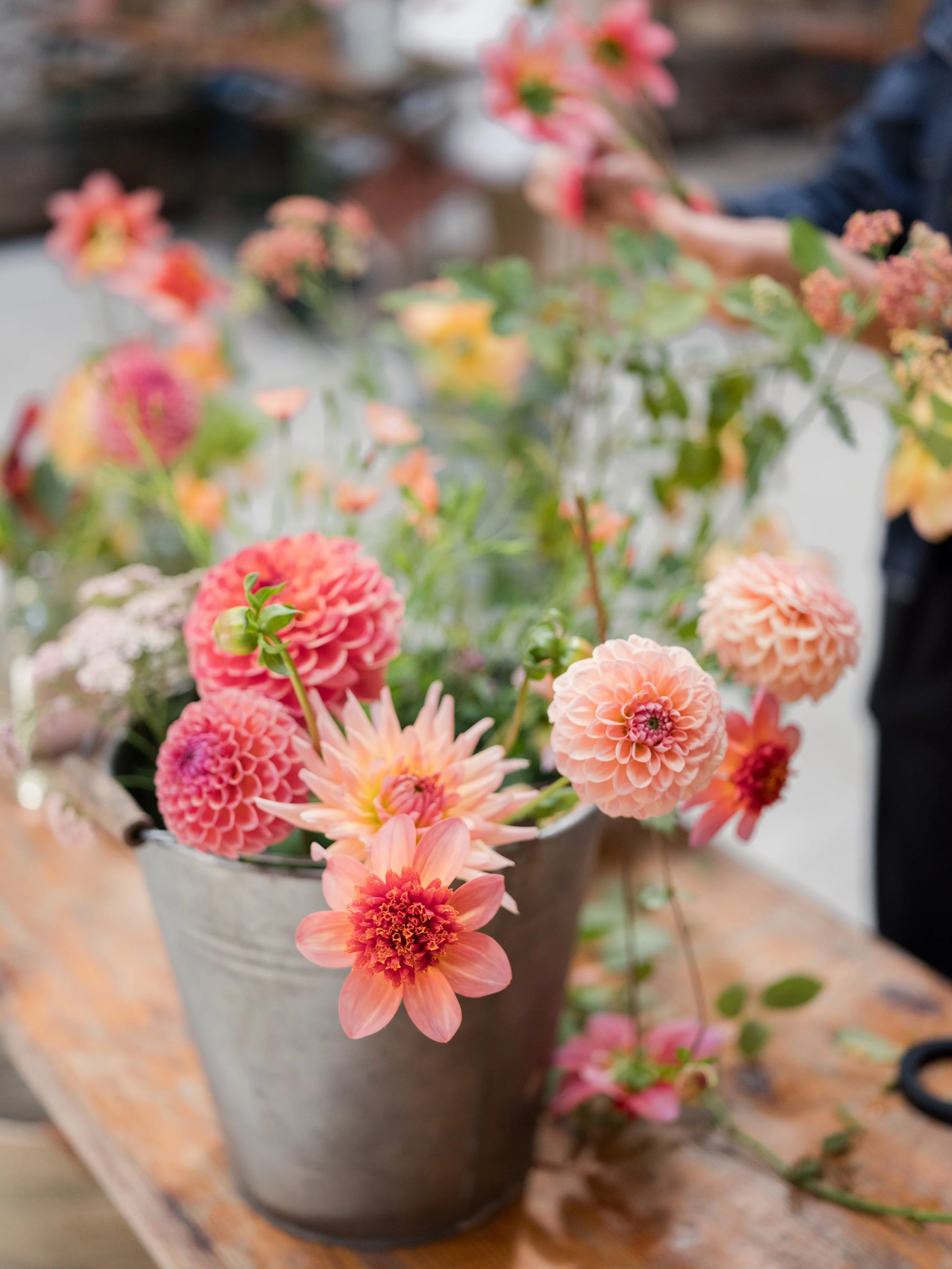 A gray pot filled with pink and peach dahlias on a wooden table, with some flowers and leaves spilling out.