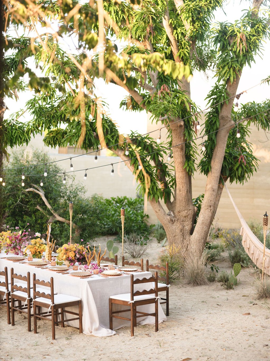 Outdoor table set for a gathering beneath a large leafy tree, decorated with string lights and floral centerpieces on a sandy ground.