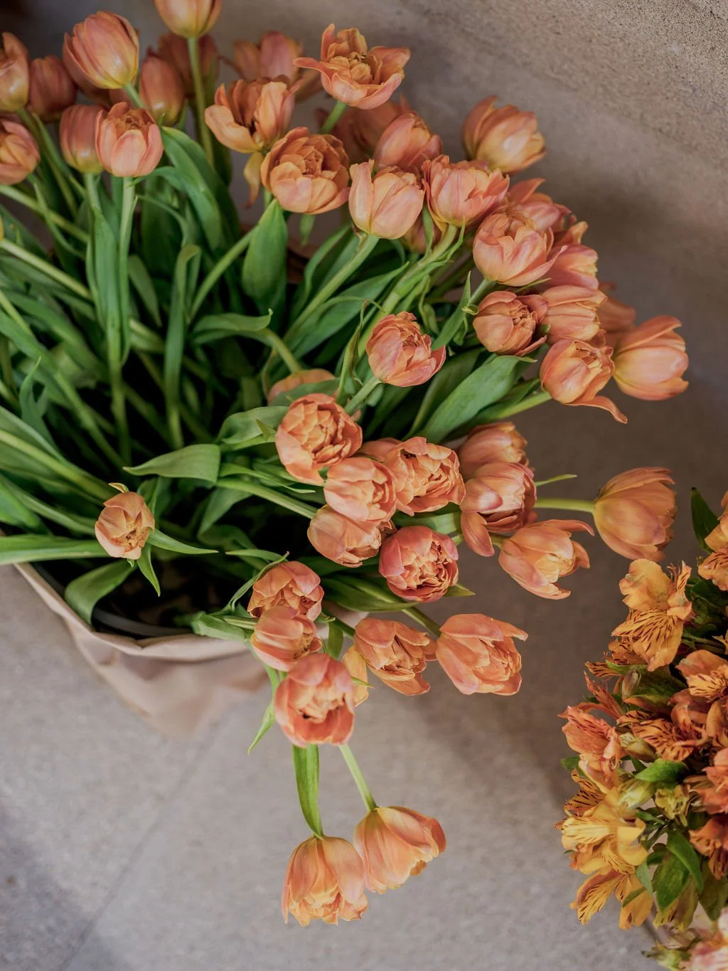 Bouquet of peach-colored tulips with green leaves, placed in a container on a gray surface.