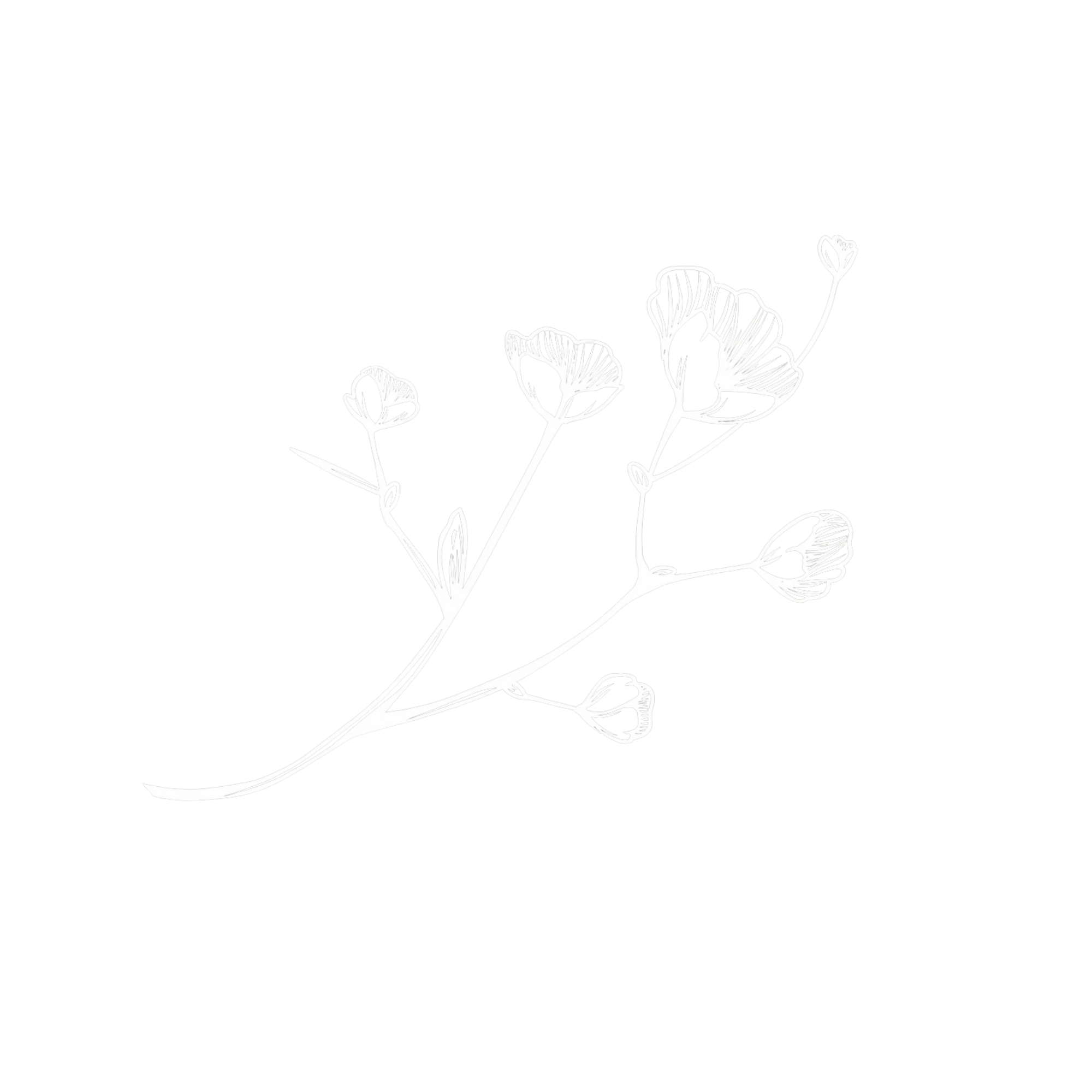 White line drawing of flowers on black background.