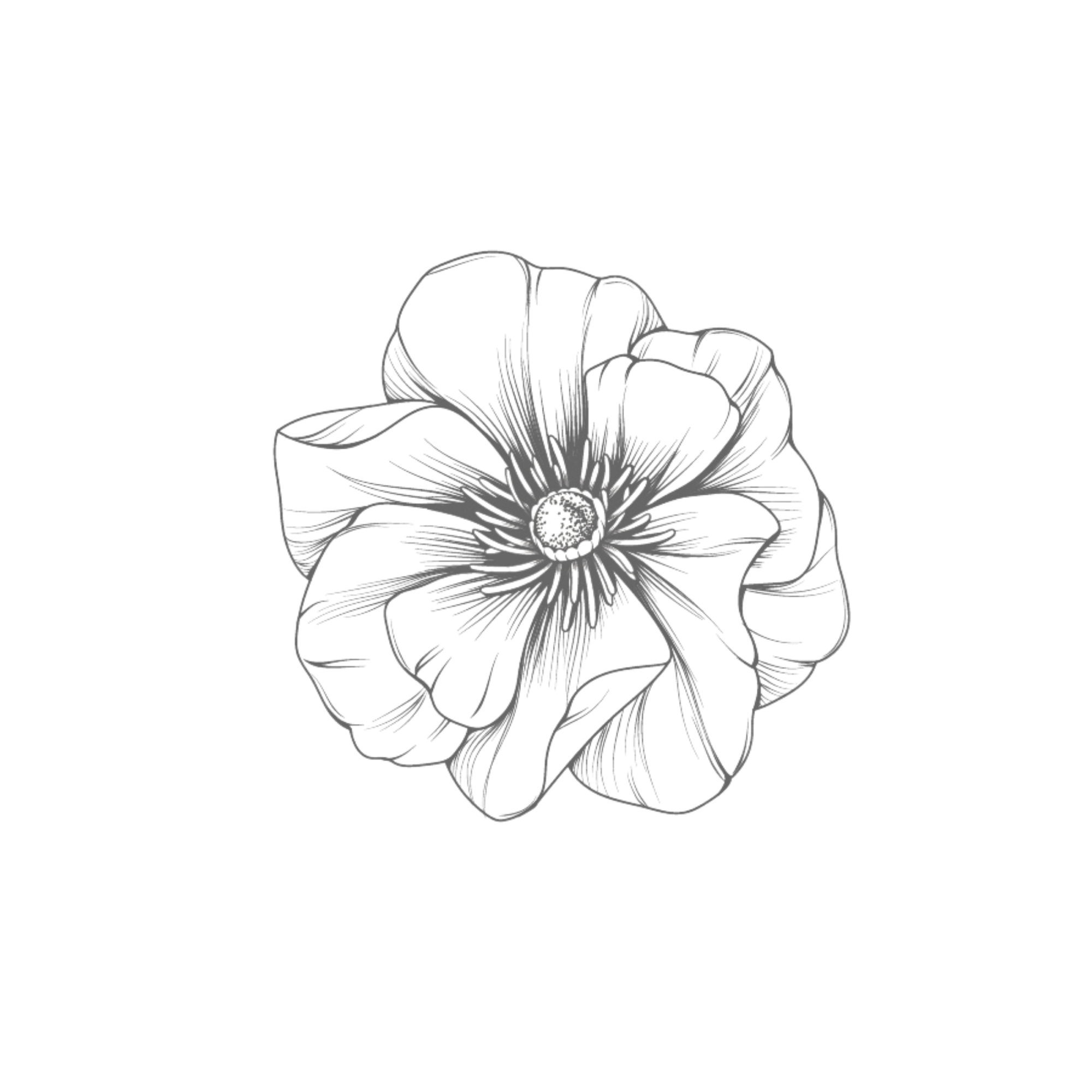 A line art illustration of a flower.