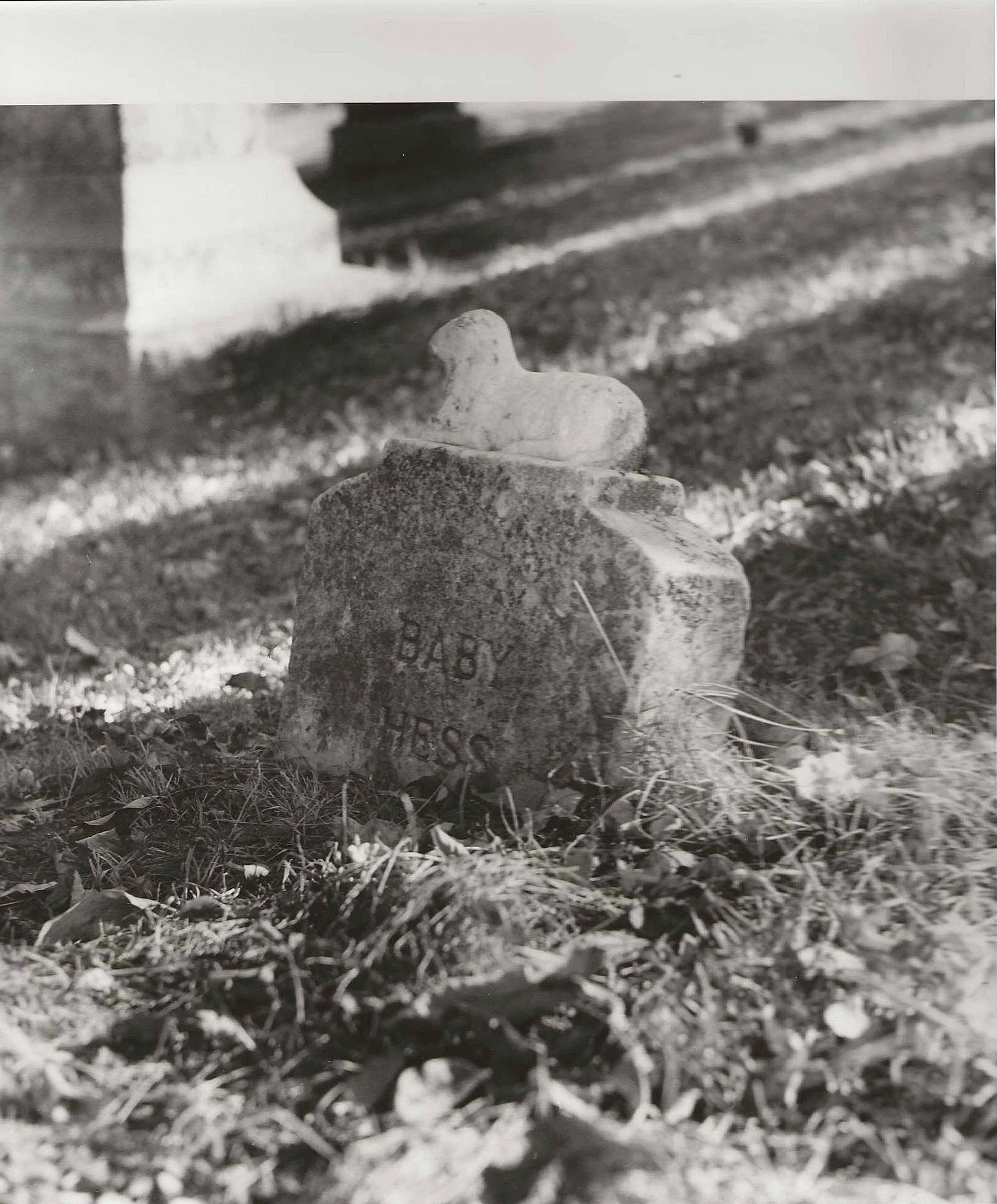 baby Hess .jpg