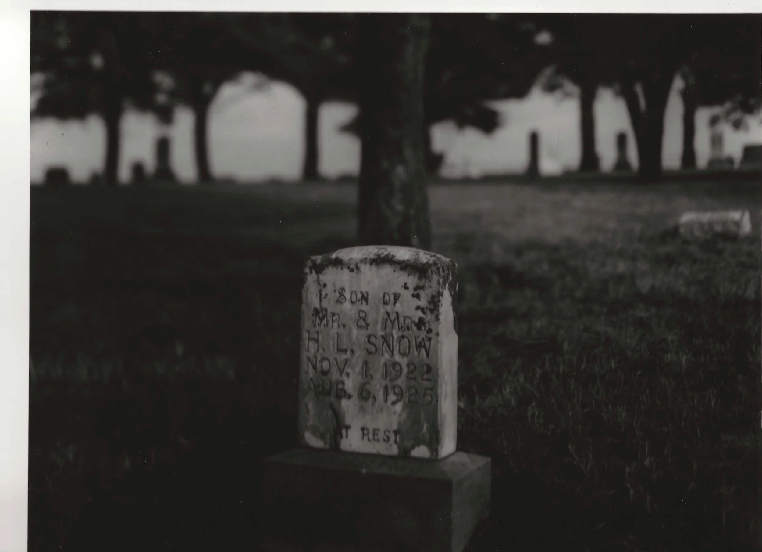 Forgotten Loved Ones