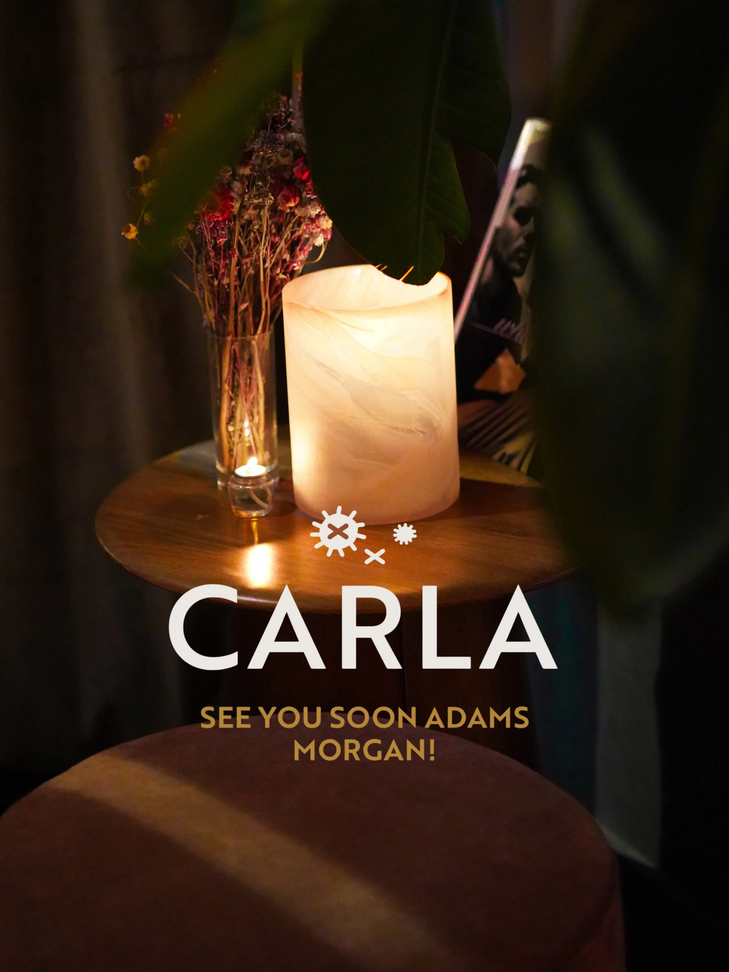 Adams Morgan, we&rsquo;re almost ready to hang.
Meet CARLA, coming soon. 🪩