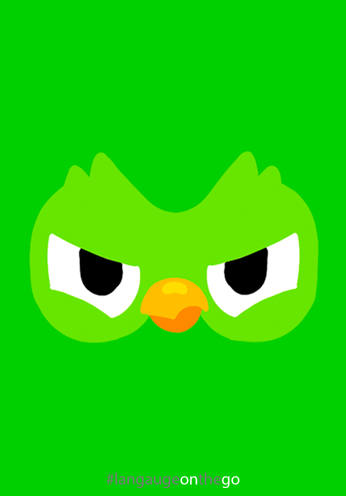 Duolingo - Language on the Go