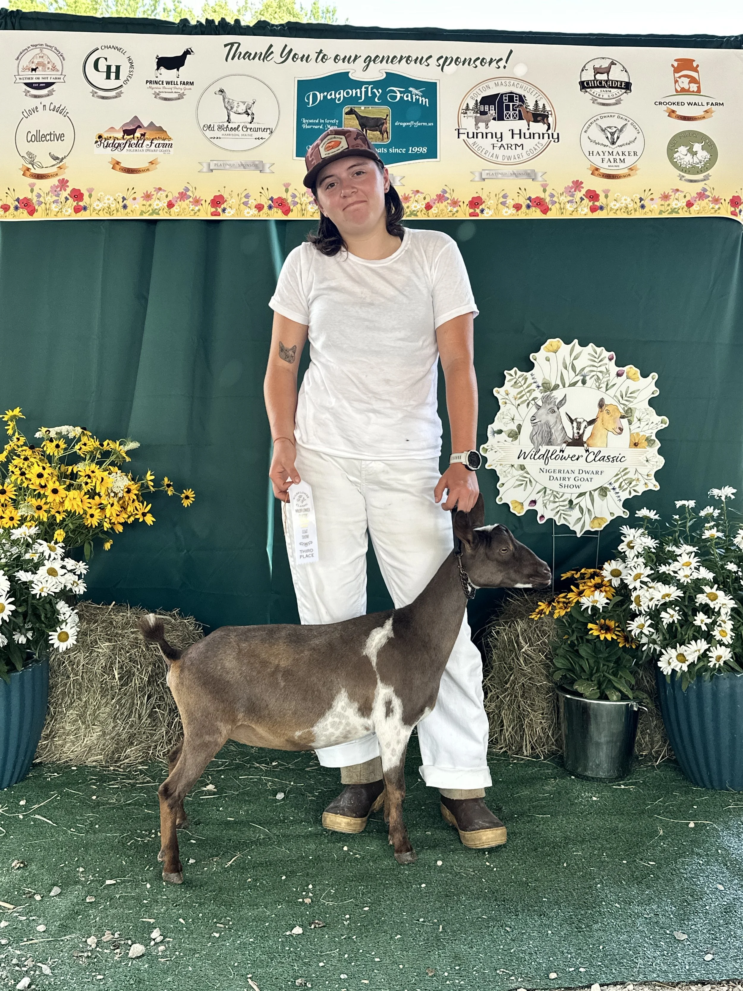 Woman standing with a goat at the Wildflower Classic Nigerian Dwarf Dairy Goat Show, surrounded by potted flowers and hay bales, with sponsor banners above.