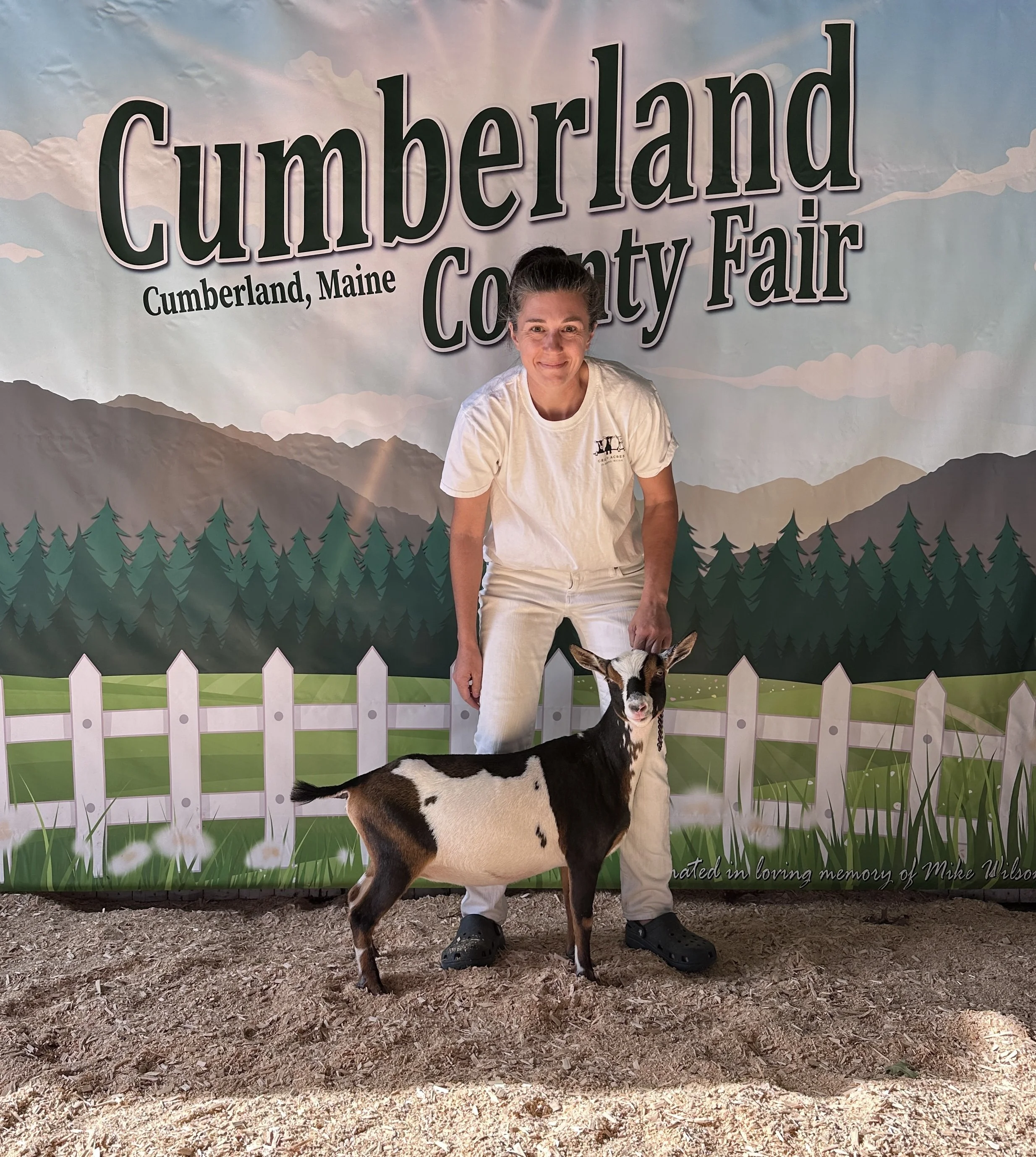 A woman standing next to a small goat at the Cumberland County Fair in Cumberland, Maine, with a scenic backdrop of trees and mountains.