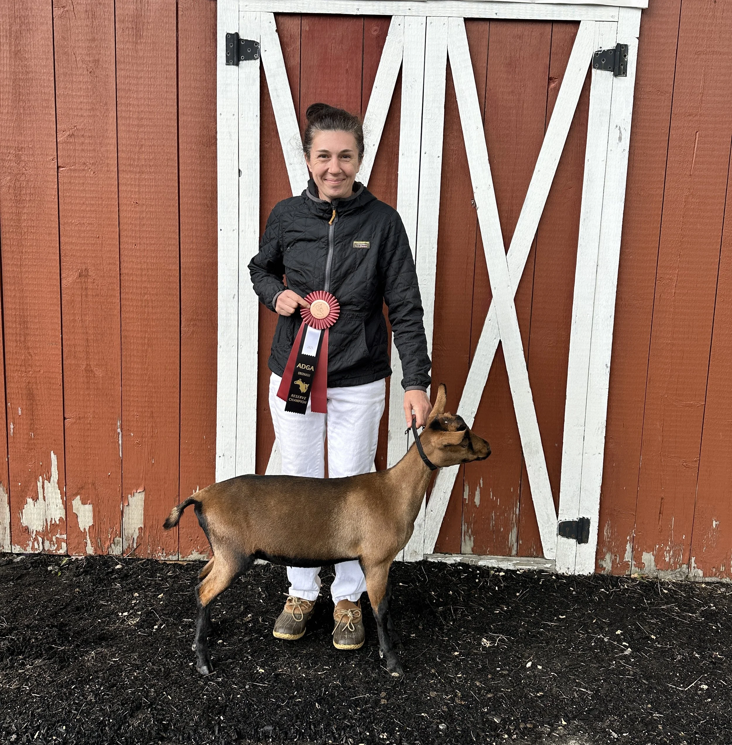 A woman holding a ribbon and medal, standing next to a goat in front of a red and white barn.