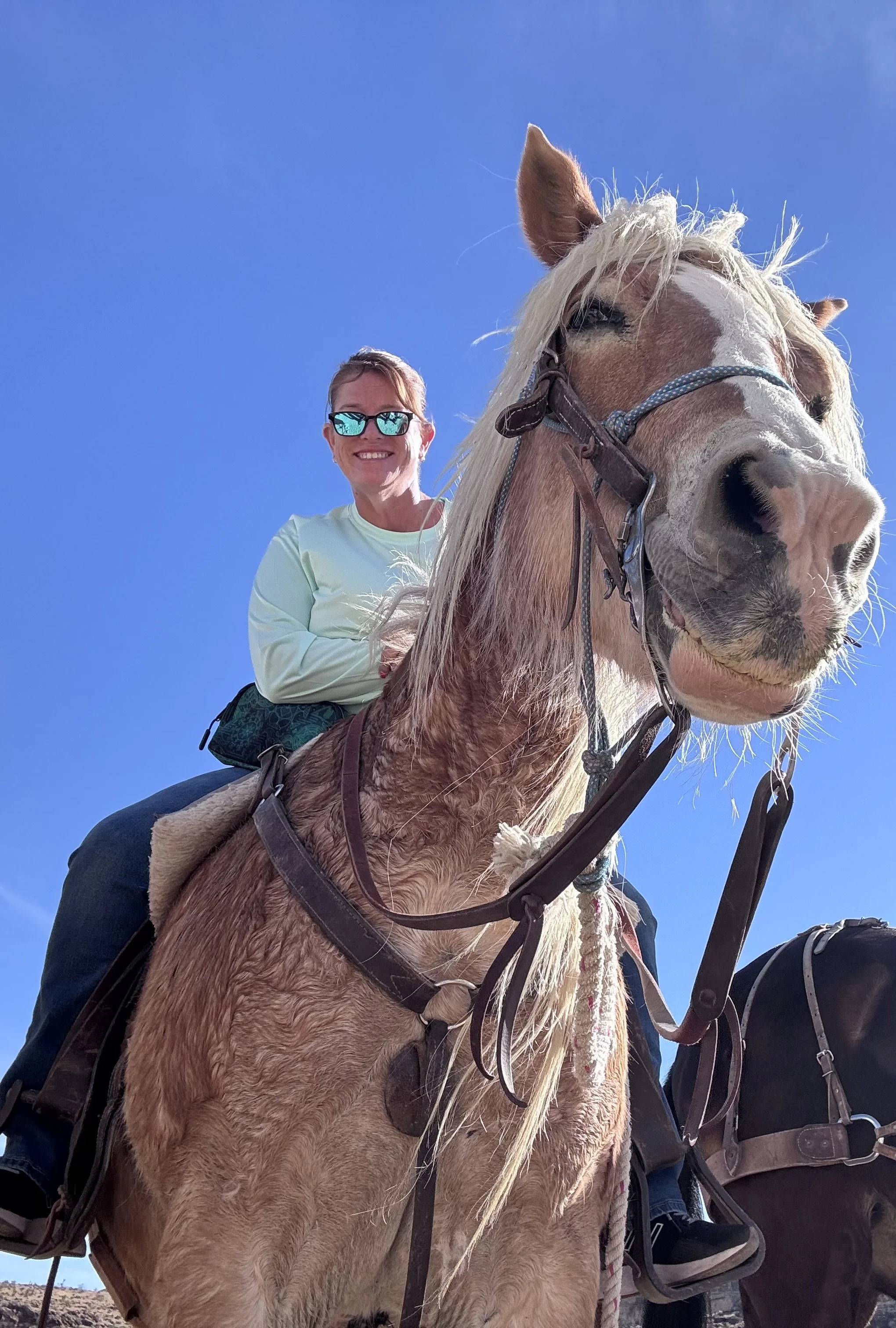 A woman smiling while sitting on a light brown horse with a blond mane, wearing sunglasses and a light-colored shirt, against a clear blue sky.