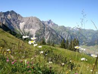 Mountain landscape with green grassy field and wildflowers in foreground, mountains in background under blue sky.