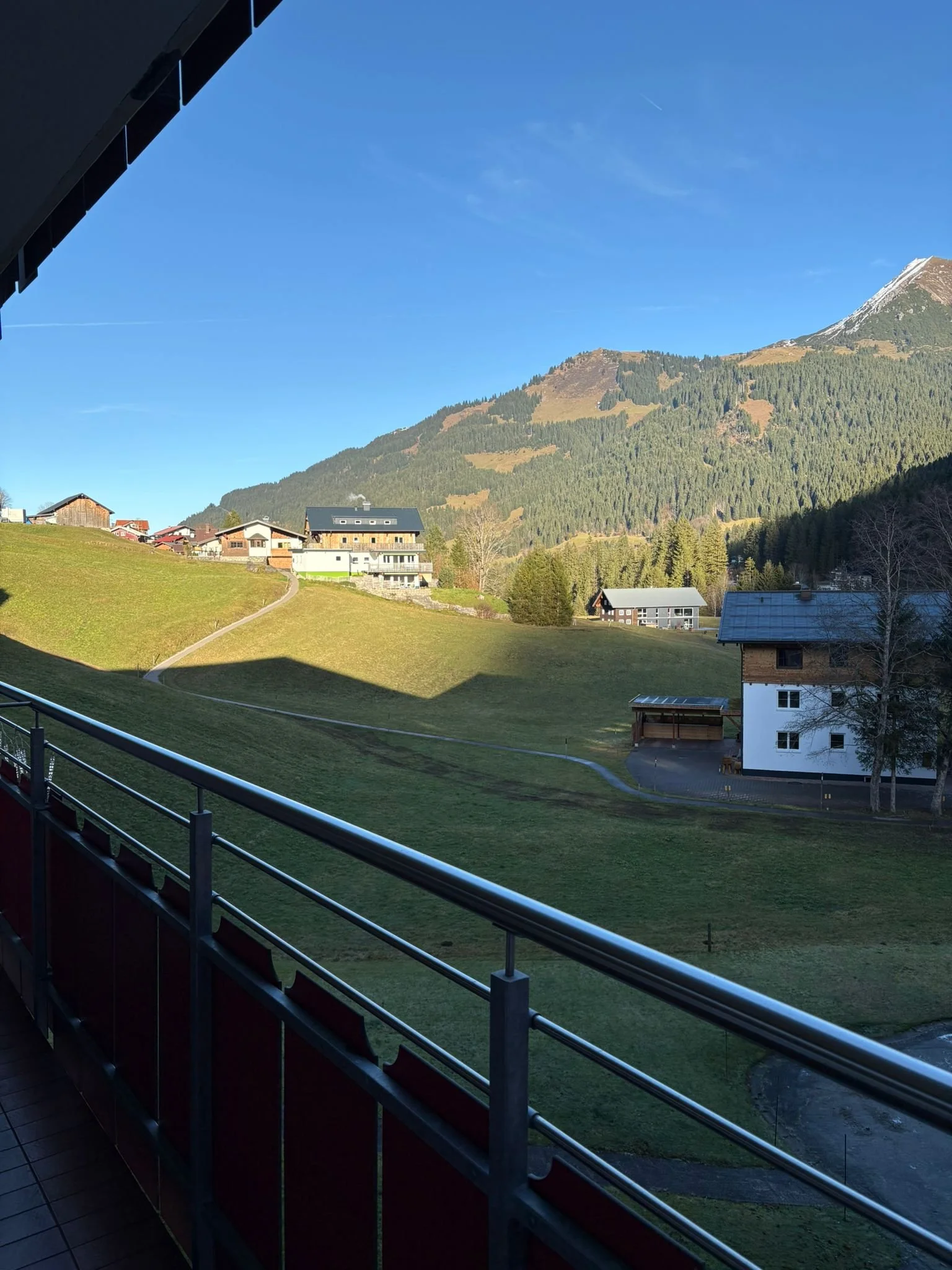 View from a balcony overlooking a rural landscape with houses, green fields, trees, and a mountain under a clear blue sky.