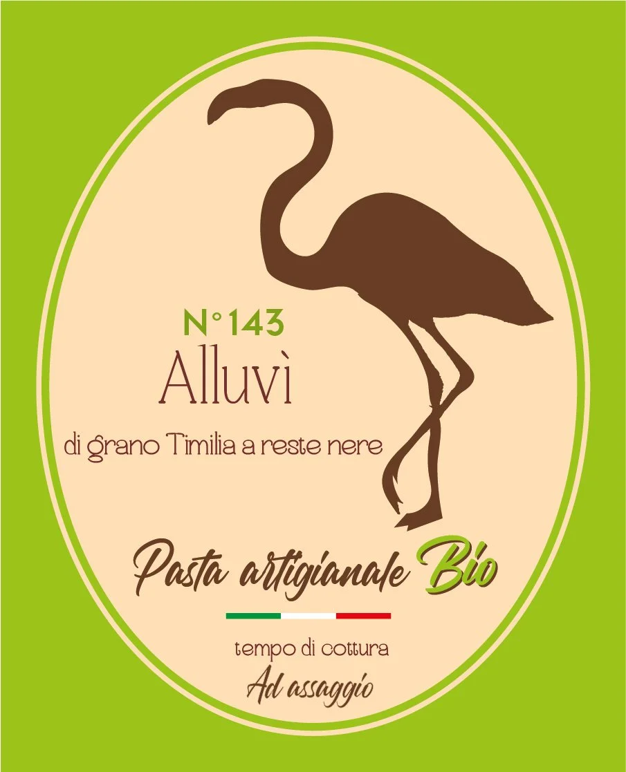 Tavola disegno 1 copia 41.jpg