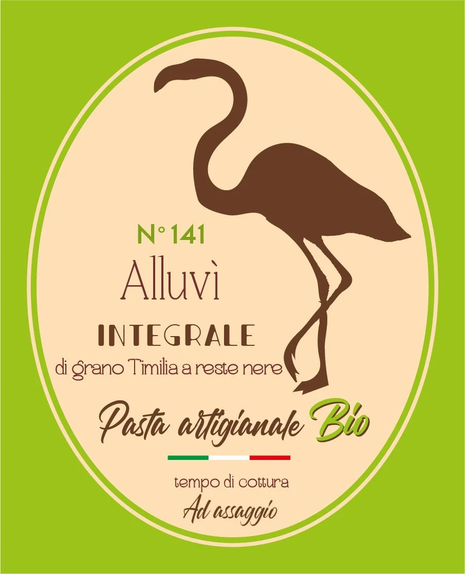 Tavola disegno 1 copia 35.jpg