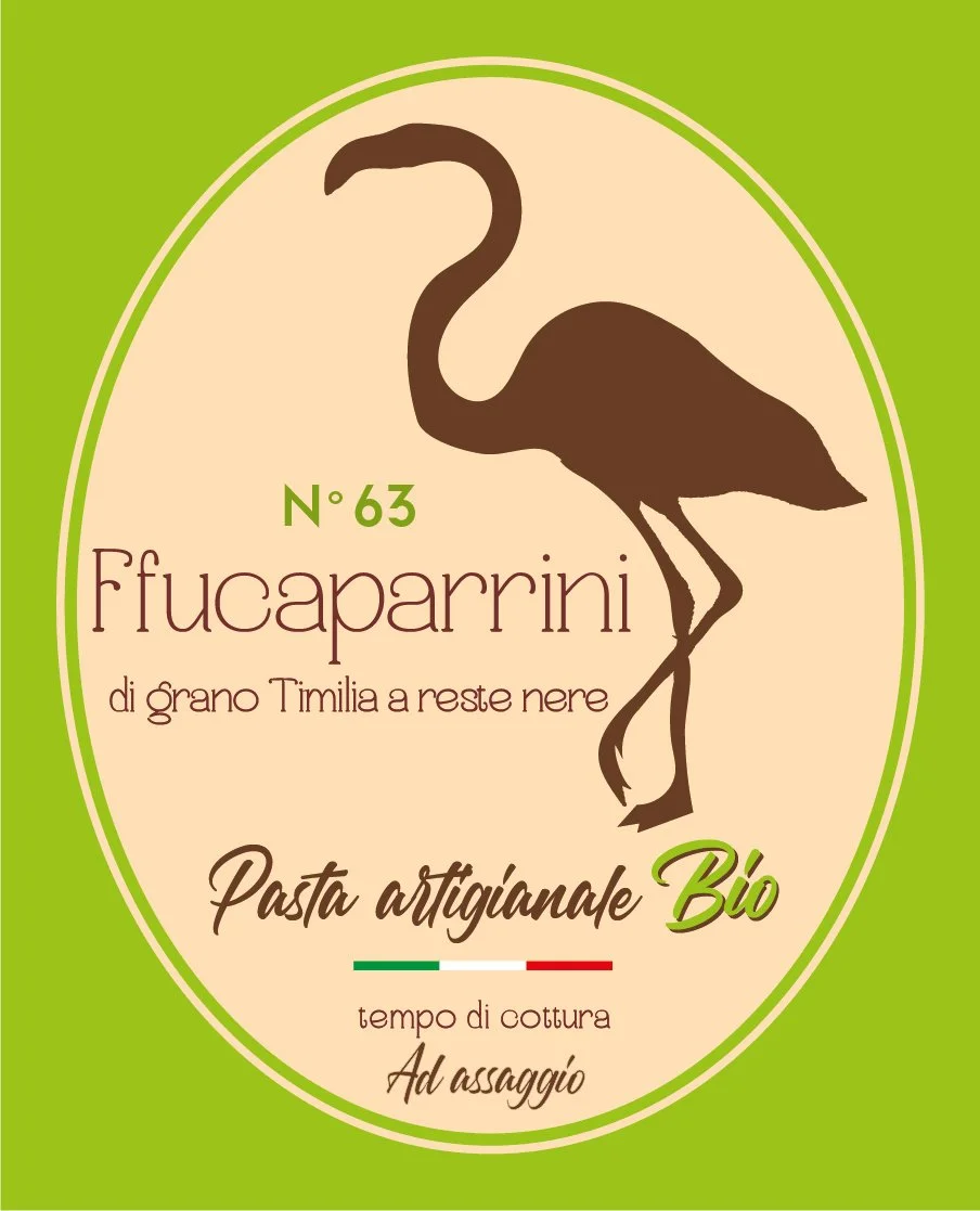 Tavola disegno 1 copia 6.jpg