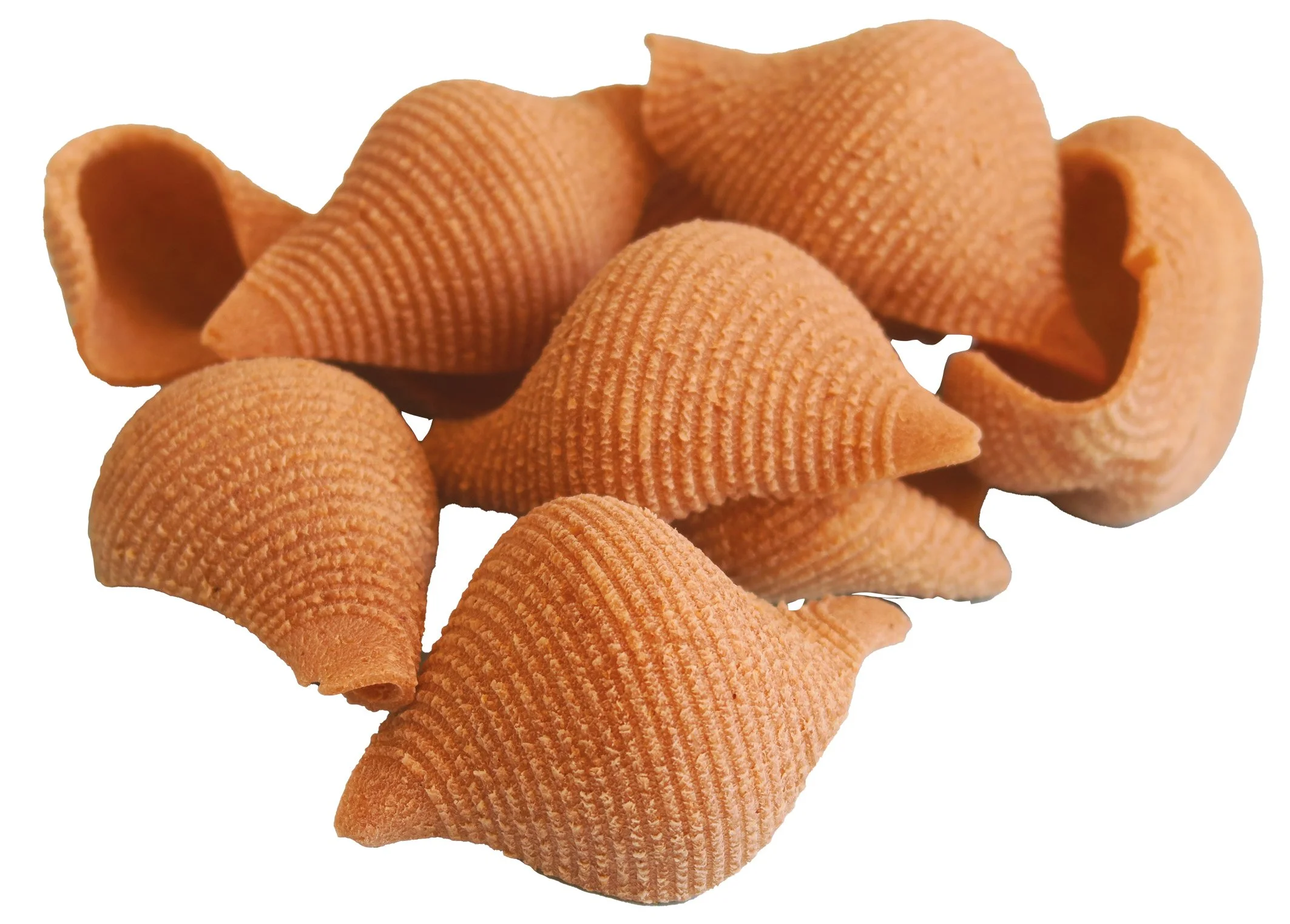 Pasta di semola integrale di Timilia. Formato n. 131 TINCHITE' (CONCHIGLIE) Confezione da Kg. 0,5
