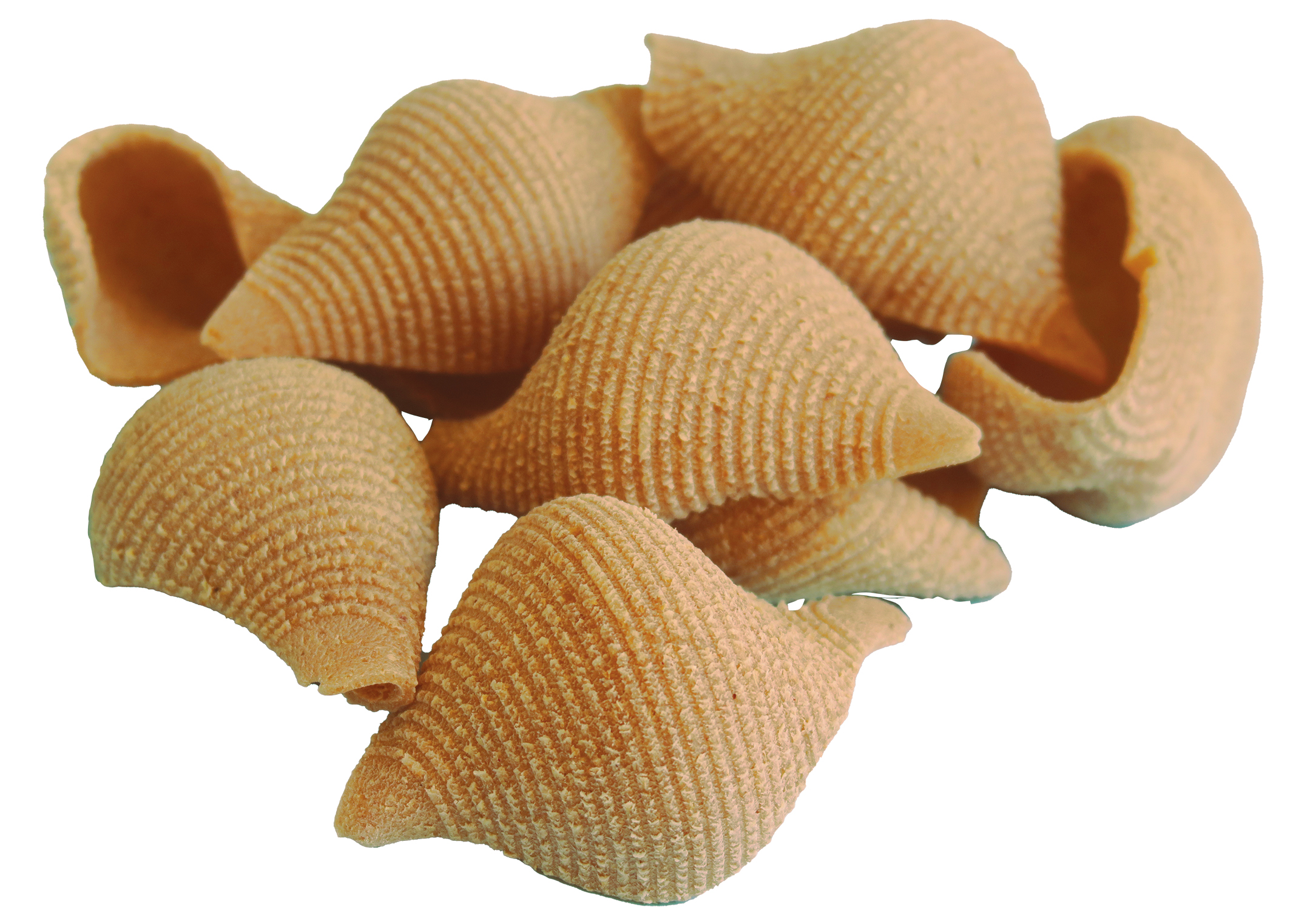 Pasta di semolato di Timilia. Formato n. 133 TINCHITE' (CONCHIGLIE) Confezione da Kg. 0,5