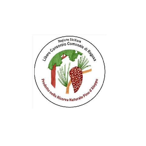 Logo provincia su sfondo finale.png